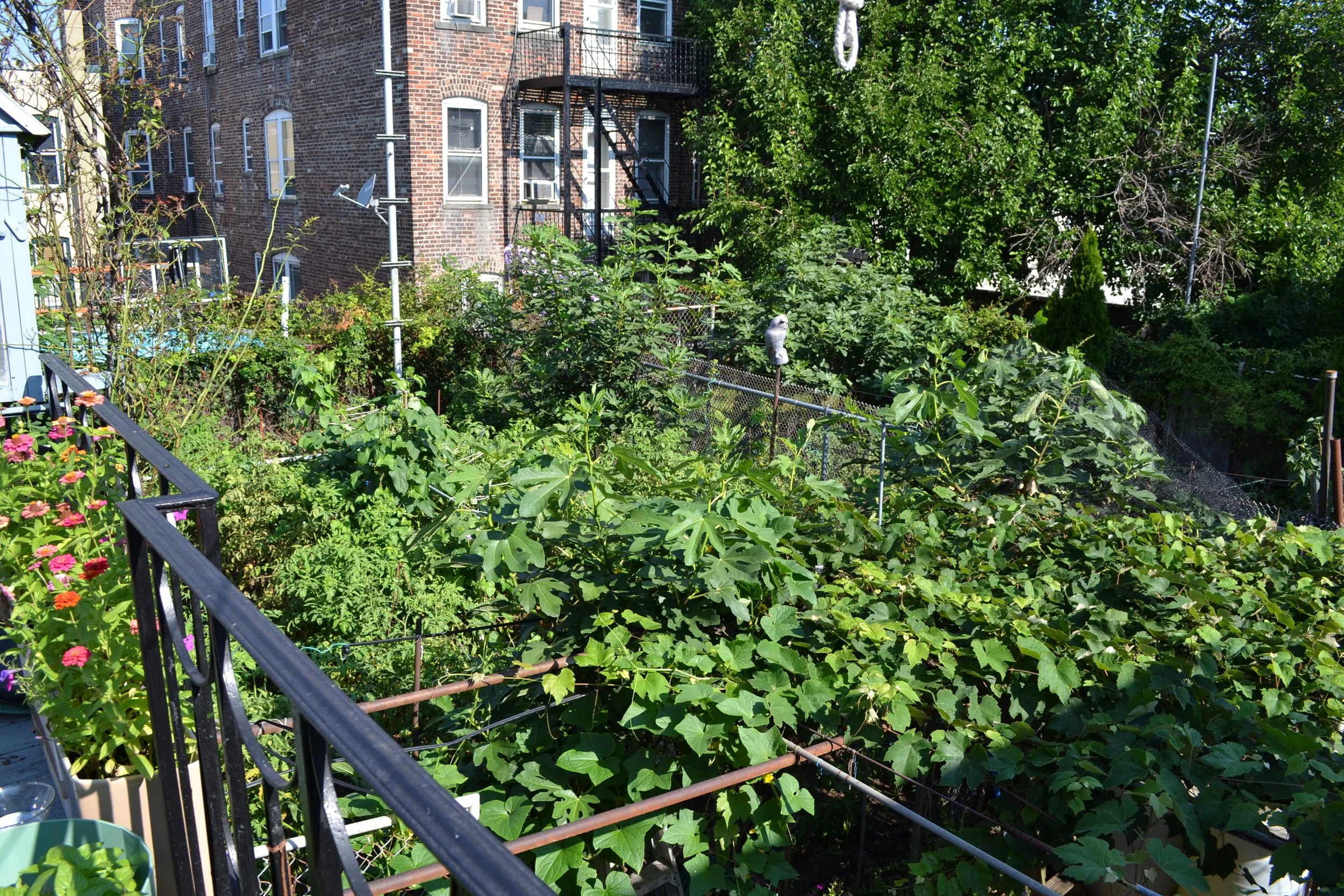 DSC_2030.JPG