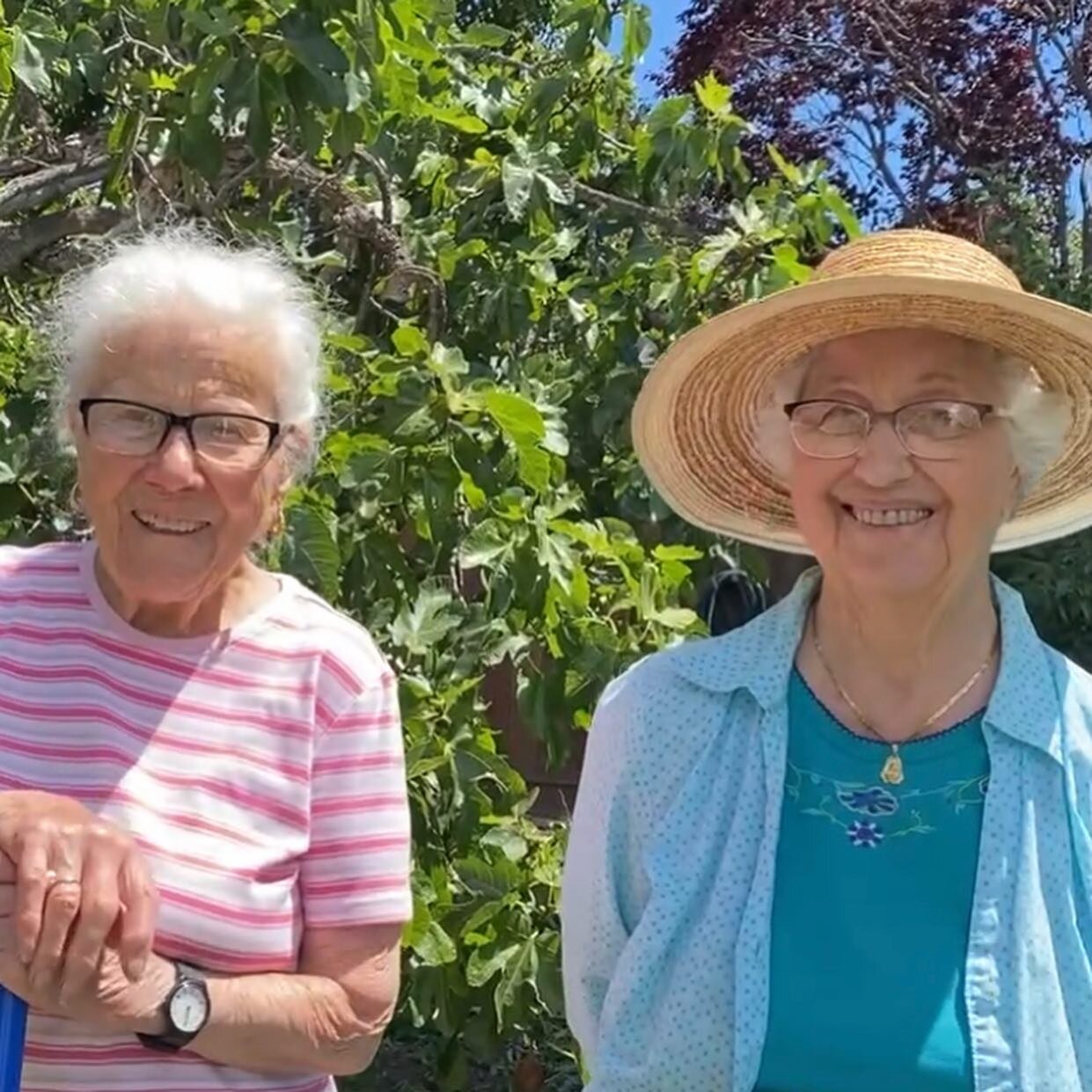 I had the most wonderful garden visit with two amazing women, Ebe Tognetti and her BFF Maria Brozzo!  They live a few blocks from each other in a beautiful neighborhood in San Mateo, California. Both have garden plots at the local community garden. E