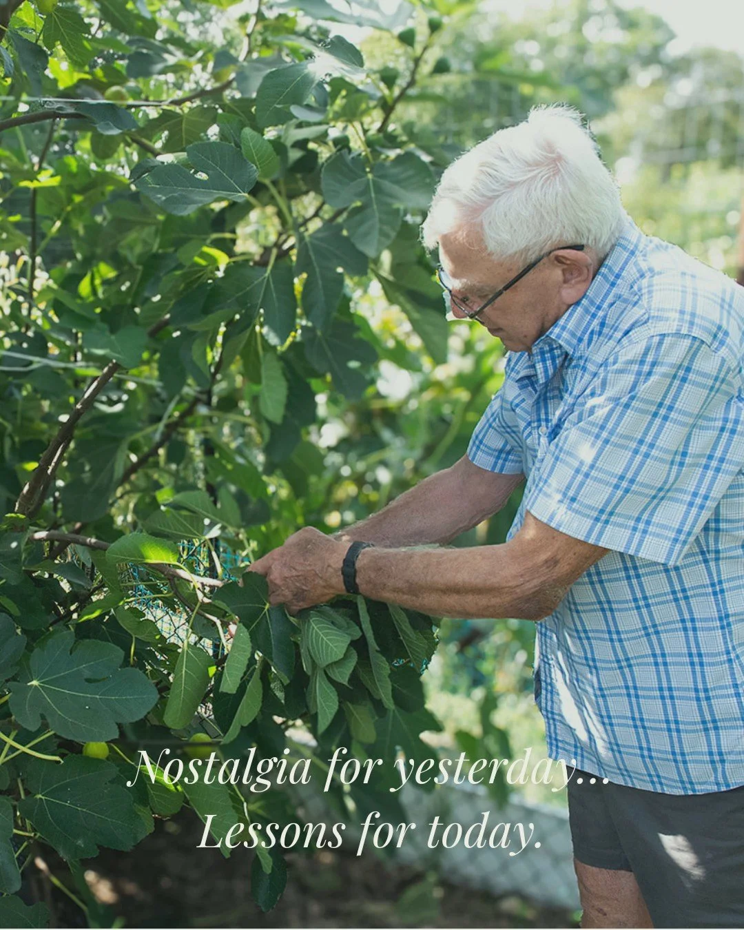 🌱 The National Organization for Italian American Gardening Heritage. 🌱
The Italian Garden Project is entering a new chapter.

After more than a decade of traveling the country, documenting Italian American gardens, safeguarding heirloom seeds, and 