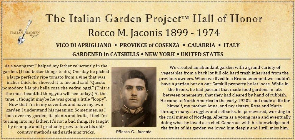 Rocco M. Jaconis