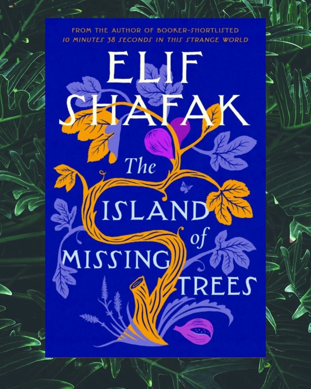 This gifting and holiday season, the Italian Garden Project is delighted to share a set of book recommendations inspired by themes we hold close: figs, gardens, heritage, and the beauty of simple living as celebrated in the Italian tradition. 🌿📚❤️
