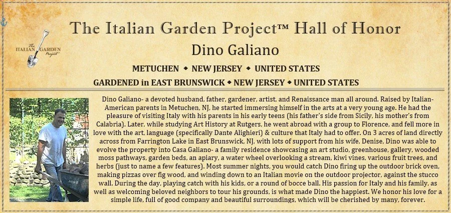 Dino Galiano