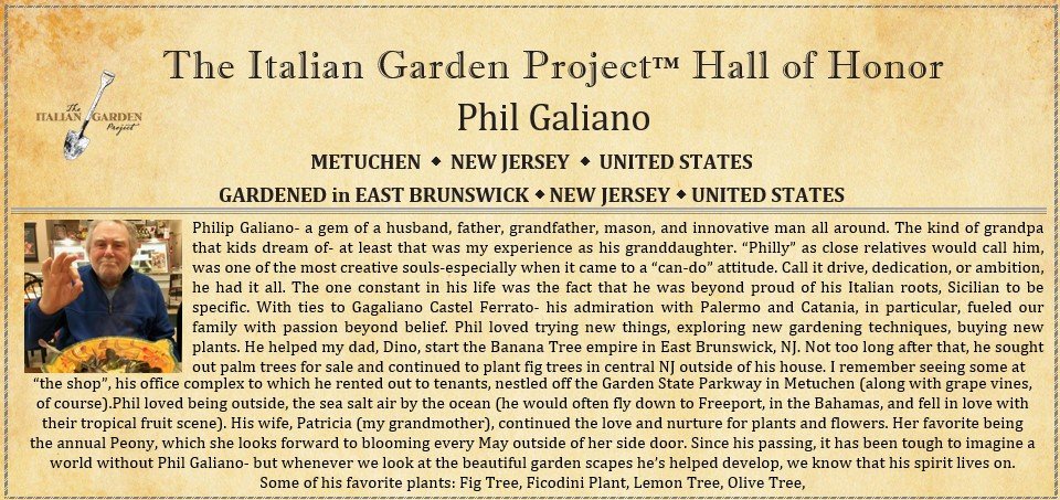 Phil Galiano