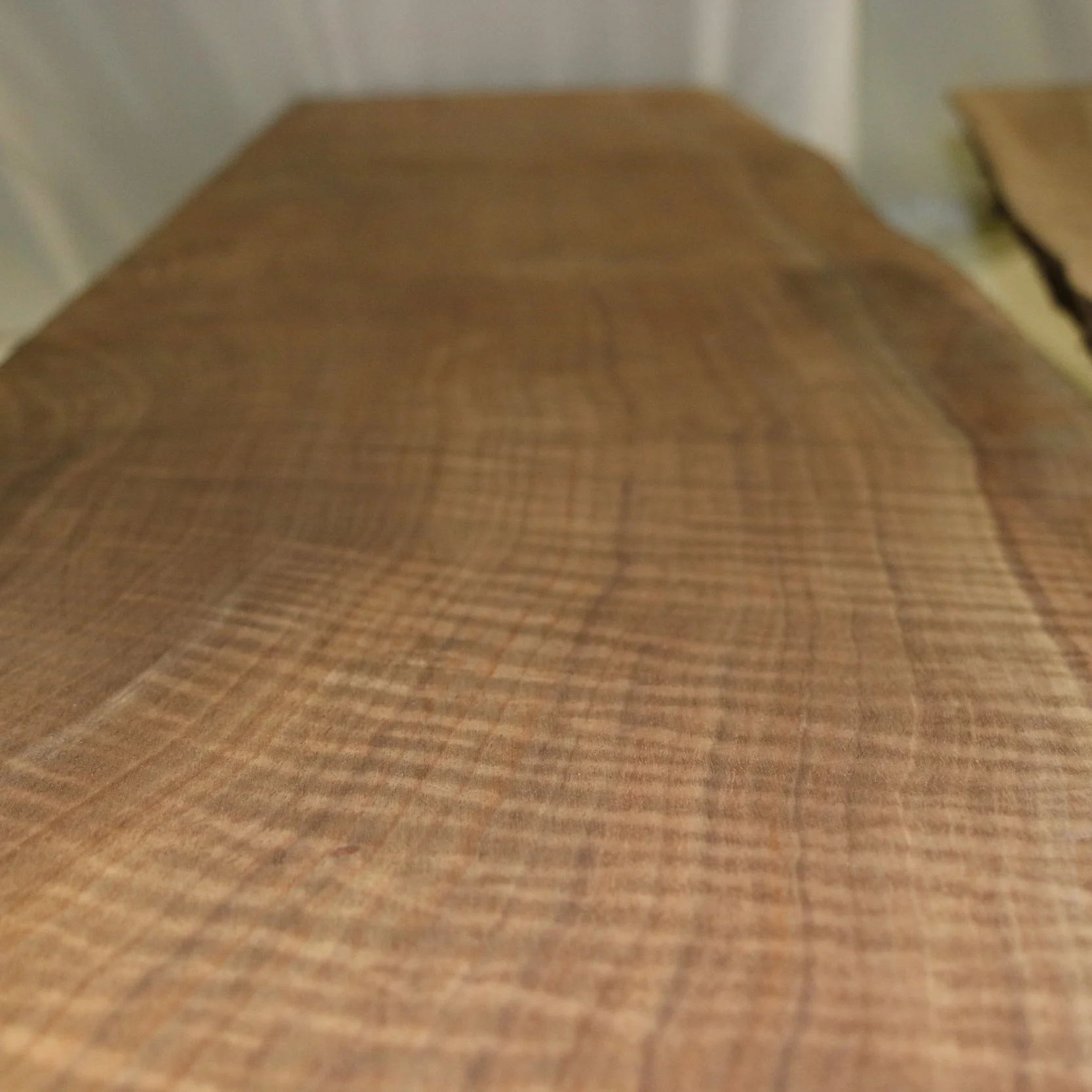 black-walnut.jpg