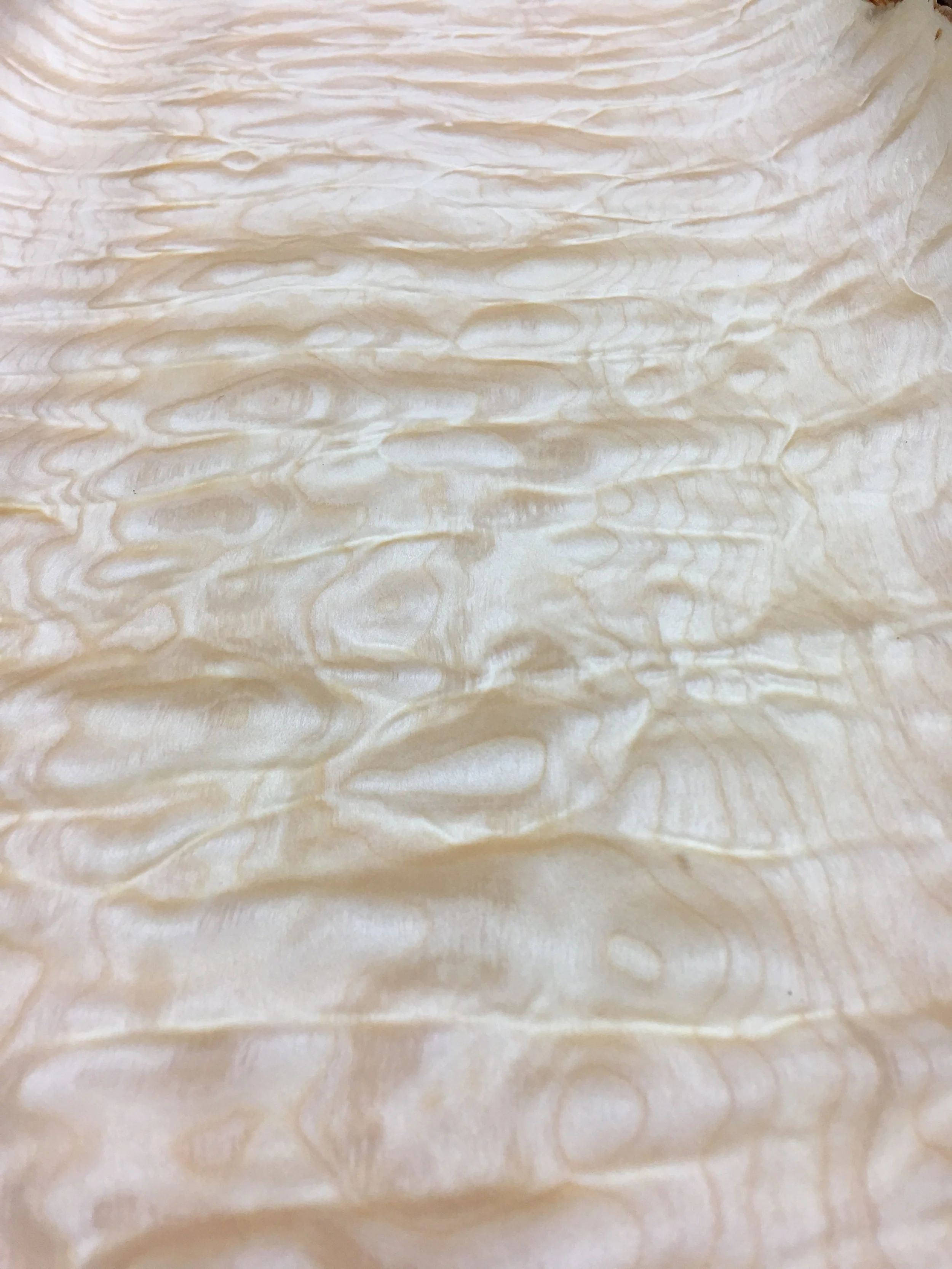 quilted-maple-veneer.jpg