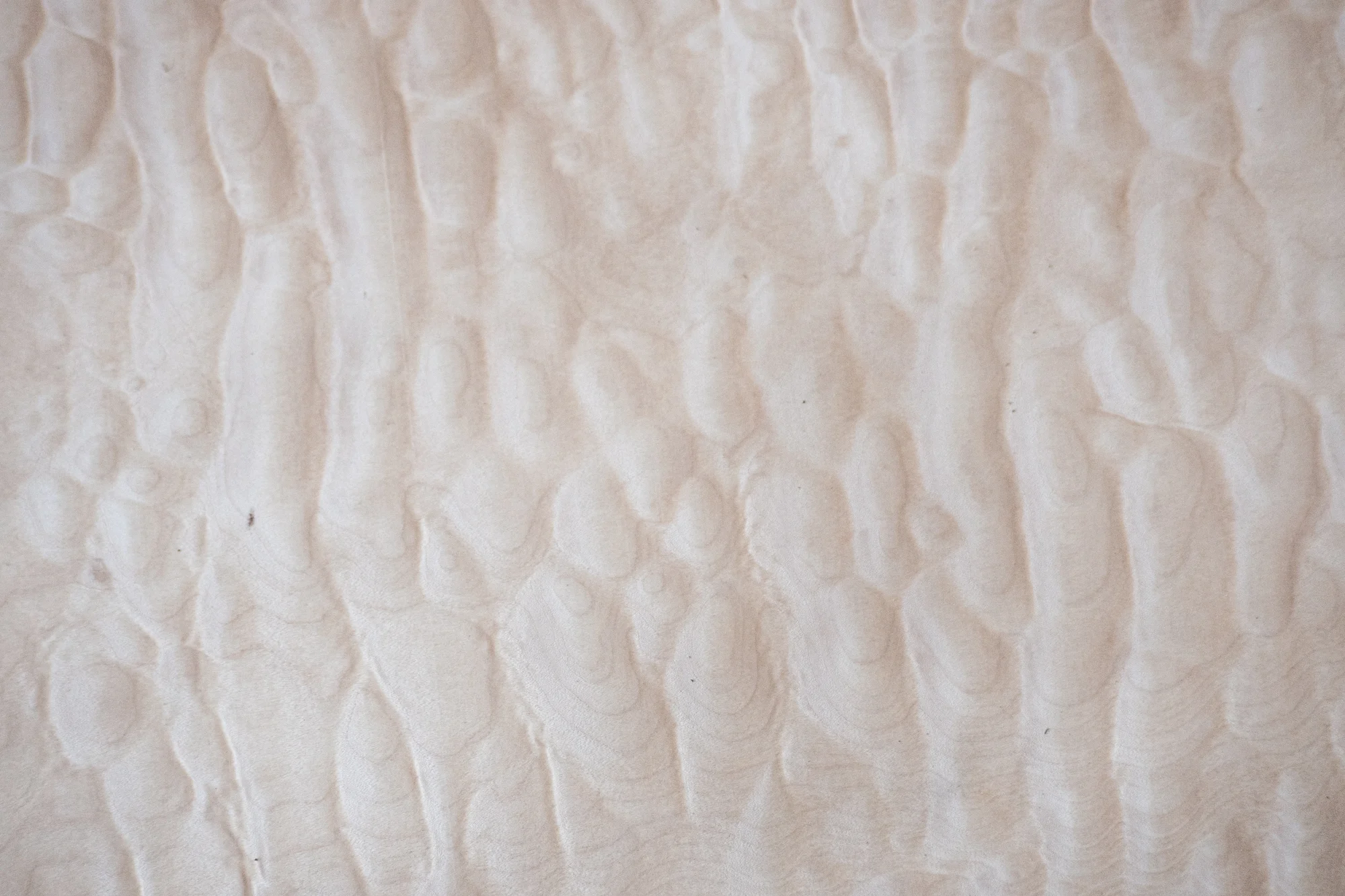 quilted-maple-veneer.jpg