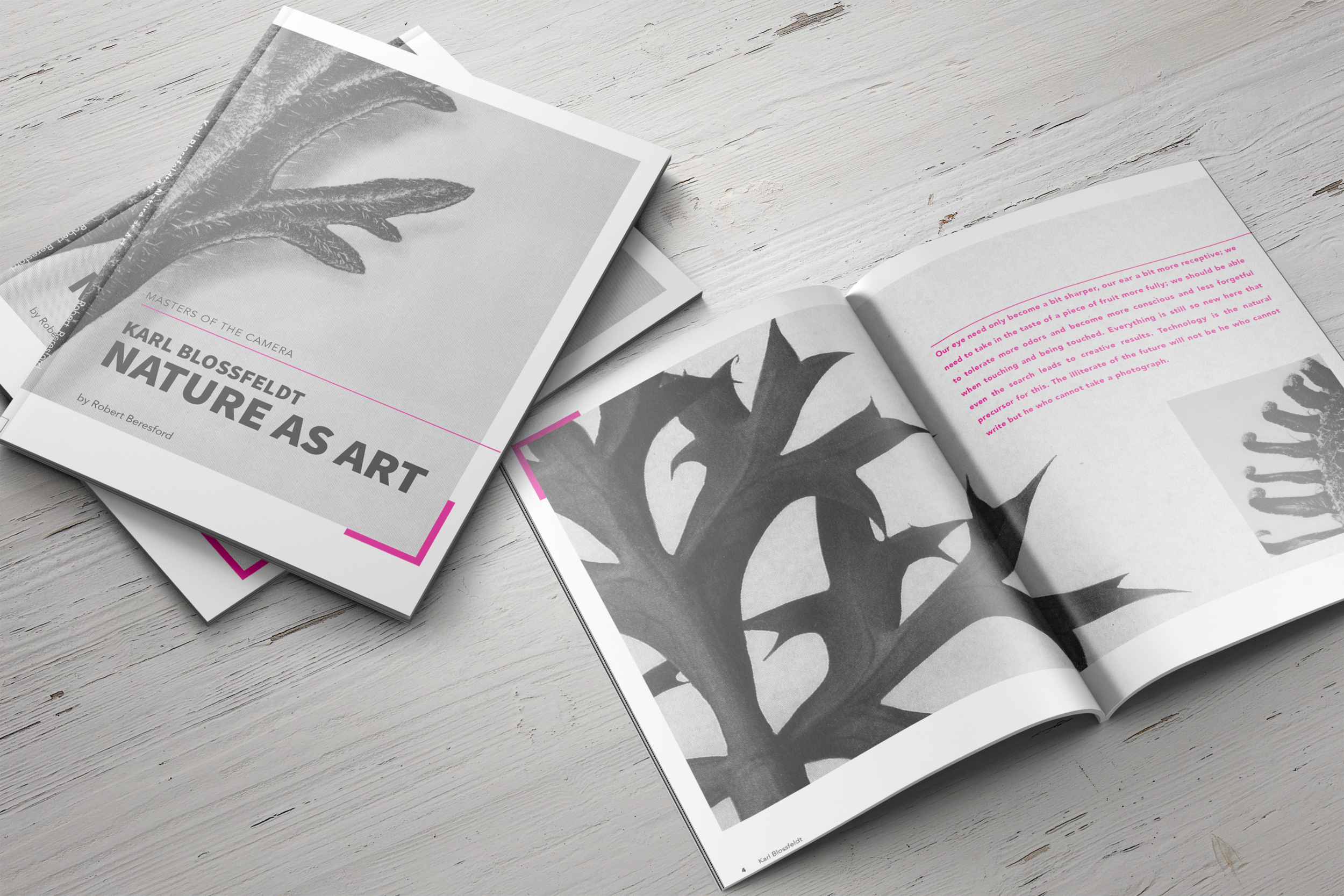 Portfolio Ready Combo.png