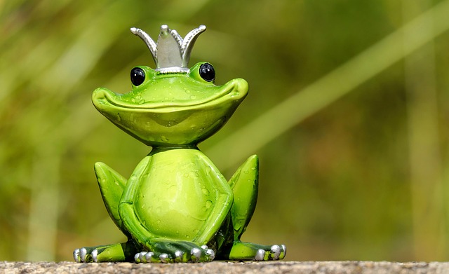 frog-2240764_640.jpg