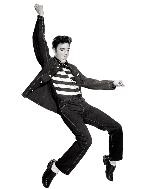 elvis-937618_640.png