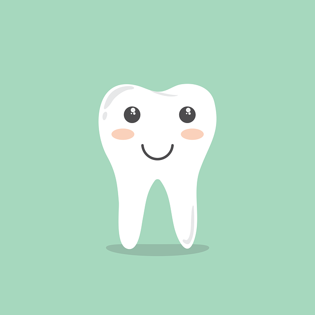 teeth-1670434_640.png