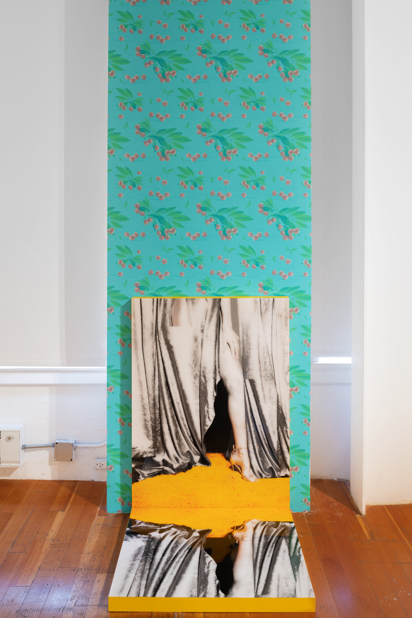  Veils  24 x 30 and 30 x 40 inches  digital c prints+ resin on panels 