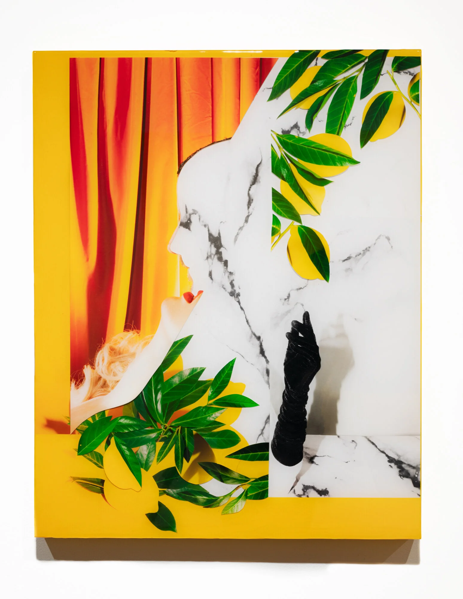  Heaven Scent  24 x 30 inches  hand cut digital c prints+ resin on panel 