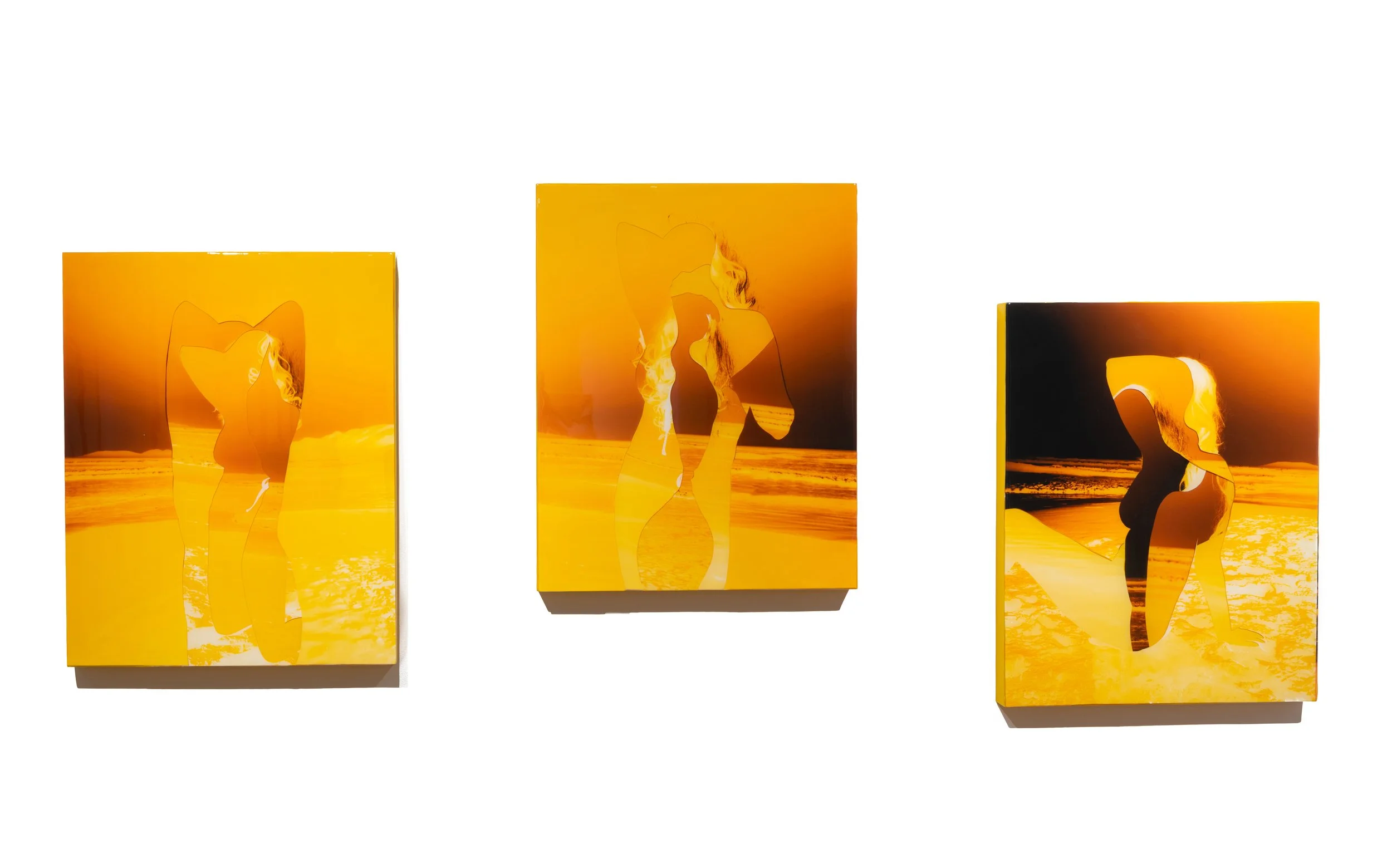  Bikini Line  (3) 24 x 30 inches  hand cut digital c prints + resin on panel 