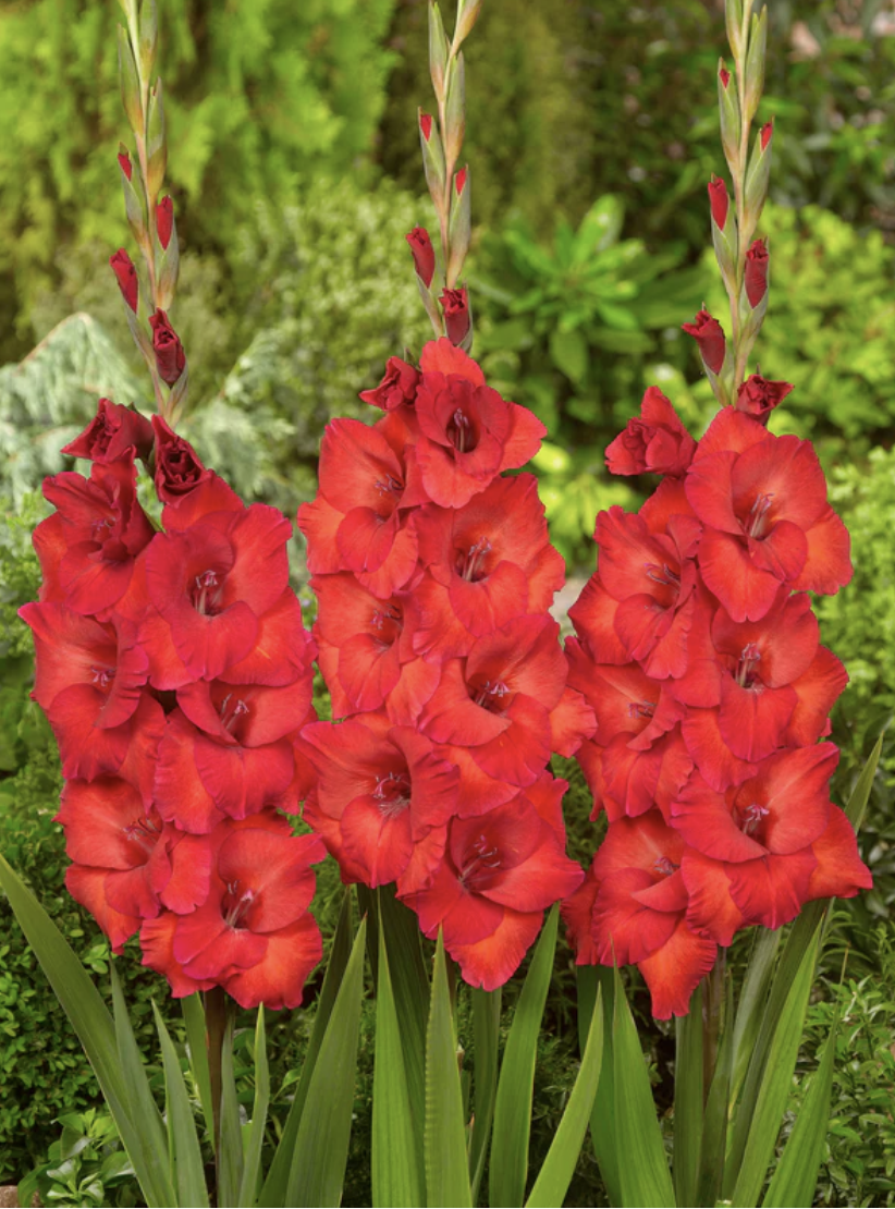 Screenshot 2026-04-20 at 2.34.35 PM.png