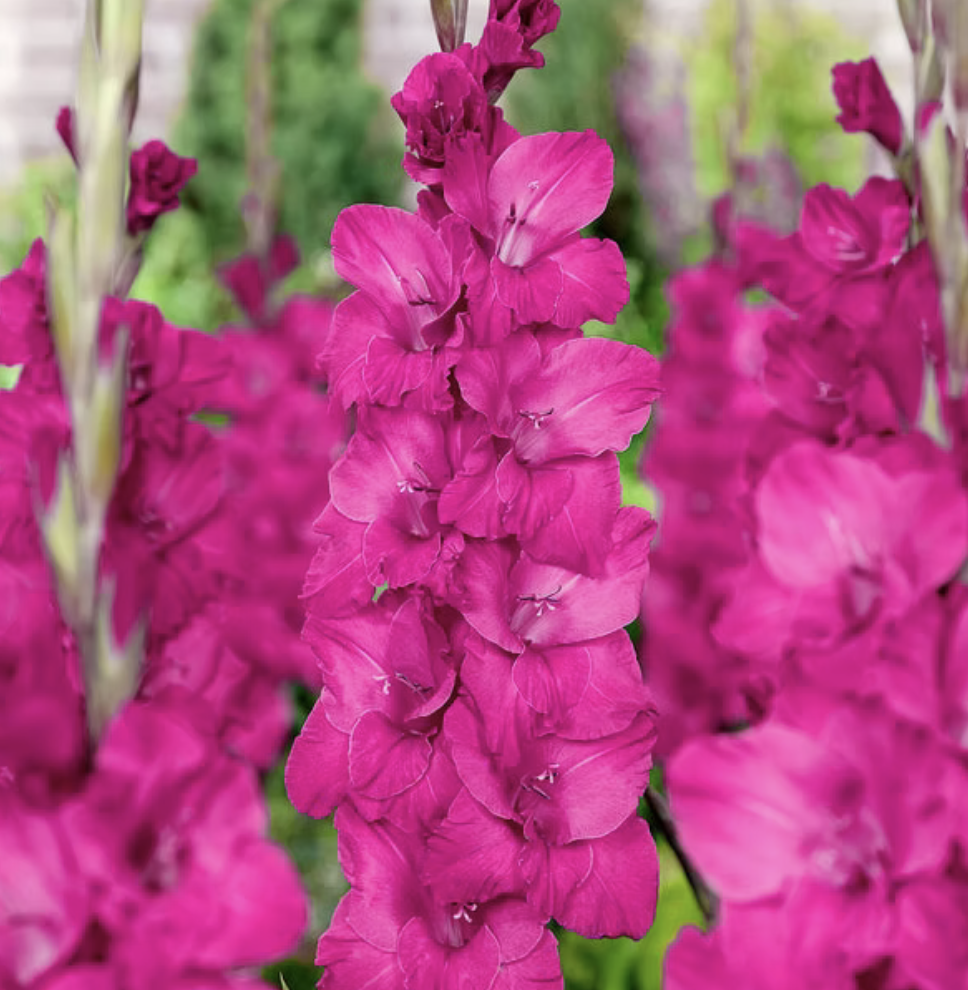 Screenshot 2026-04-20 at 11.02.34 AM.png