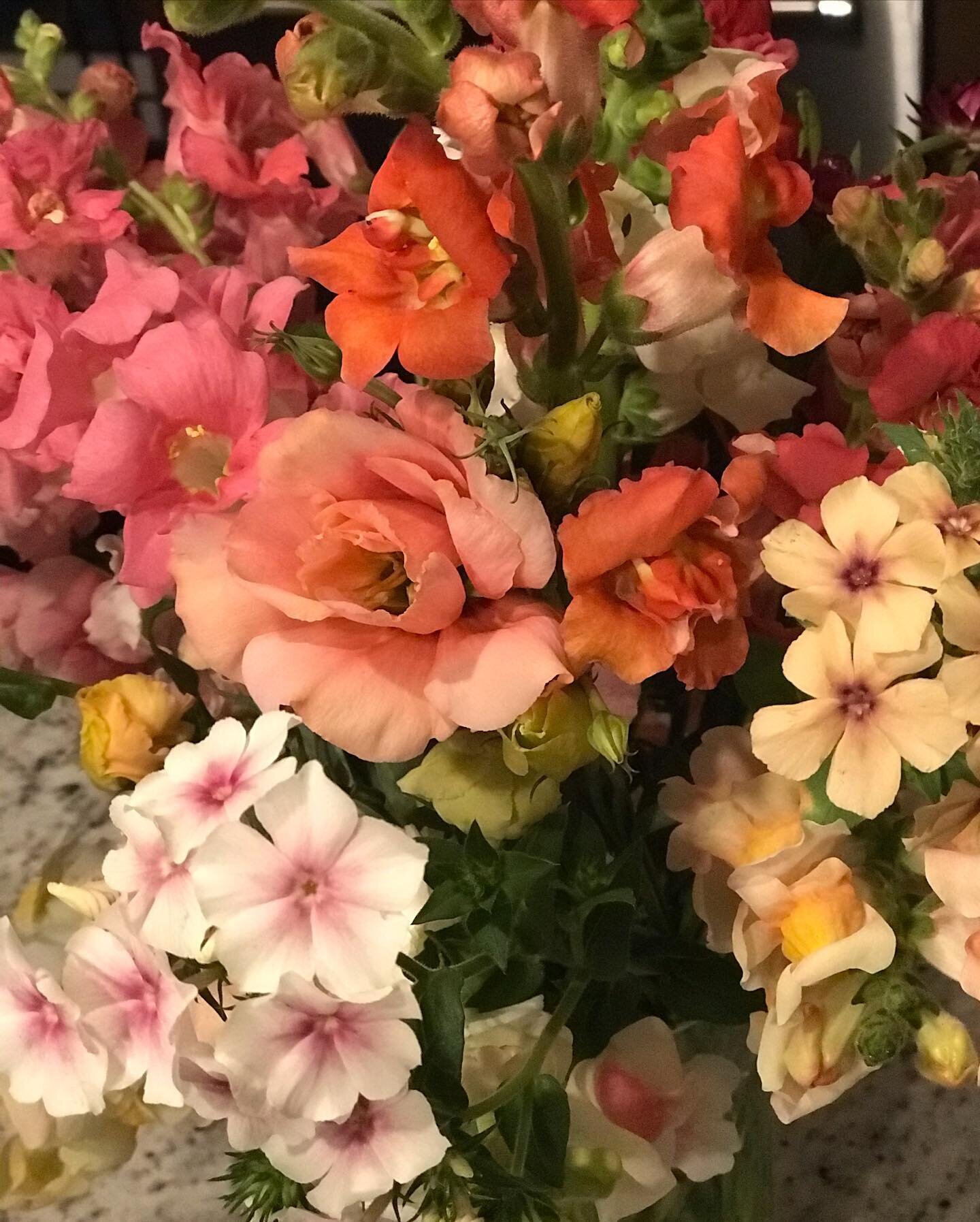 October 23 and this has been our first hard freeze this season as everything outside is covered in frozen ice crystals.  Looks absolutely stunning.

Inside the greenhouse it is an entirely different world.  This bouquet was picked today from the smal