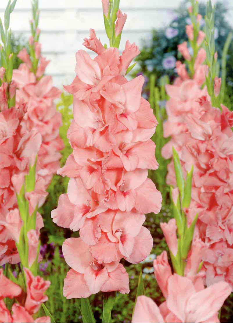 Screenshot 2026-04-20 at 4.16.48 PM.png