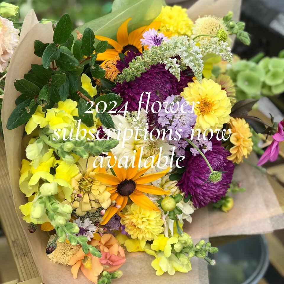 We are pleased to announce that our 2024 bouquet subscriptions are now available for purchase via our website. 

Visit our website to see all the options we offer.  Fill your home with fresh, locally grown blooms this summer.  We offer different subs