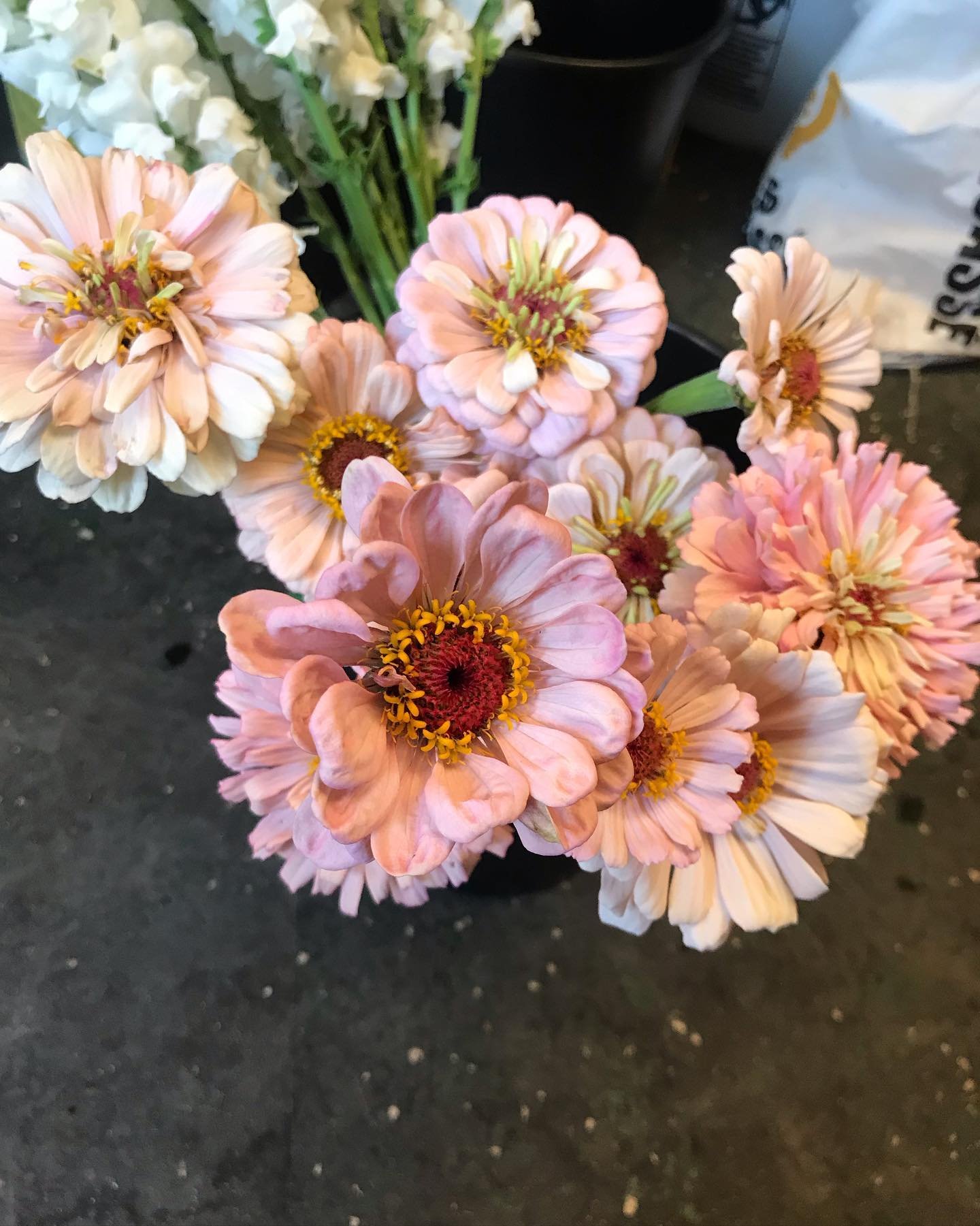 Zinnias are back and I couldn&rsquo;t be happier with the colours this season.  So nice to be able to add these to this weeks subscriptions.