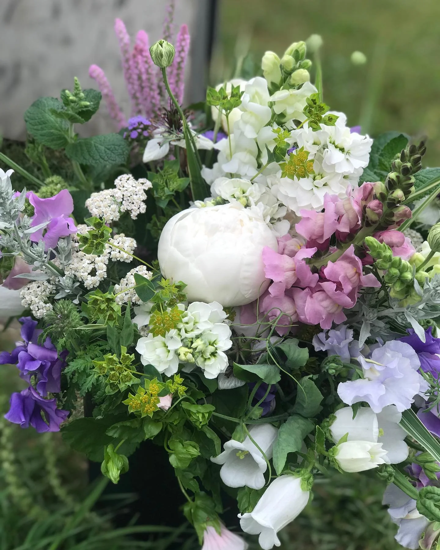 Just a reminder that if you have emailed me to express interest in our bouquet subscriptions and you have not heard back from me, kindly check your spam 
or junk files. I have responded to every inquiry. Payments for subscriptions are due by May 31st