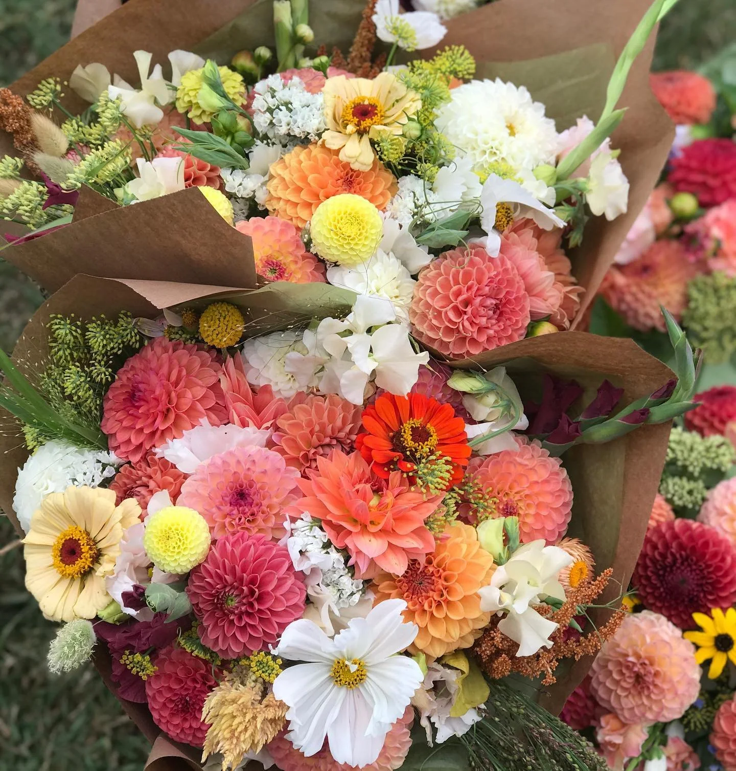 Final subscriptions headed out the door today ending the 2024 season for me.  Thank you so much for everyone that bought our flowers this year and the past 6 seasons!  It has been amazing. Doing an early cleanup this year and taking the 2025 season o