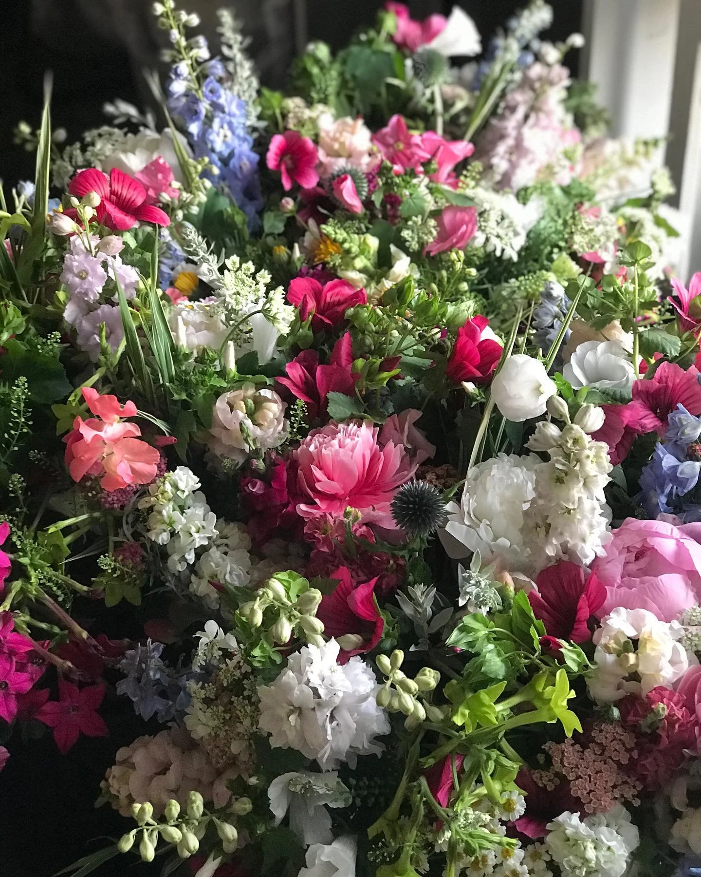A few highlights of this year&rsquo;s flowers.  It has been another challenging season, or at this point, perhaps another regular season of flower growing. 

I am constantly learning and evaluating what I need to do differently next season.  No two g