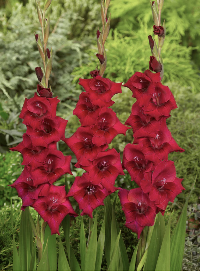 Screenshot 2026-04-20 at 2.34.12 PM.png