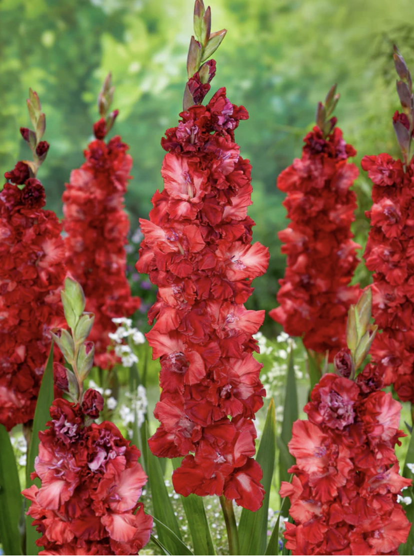 Screenshot 2026-04-20 at 2.35.04 PM.png