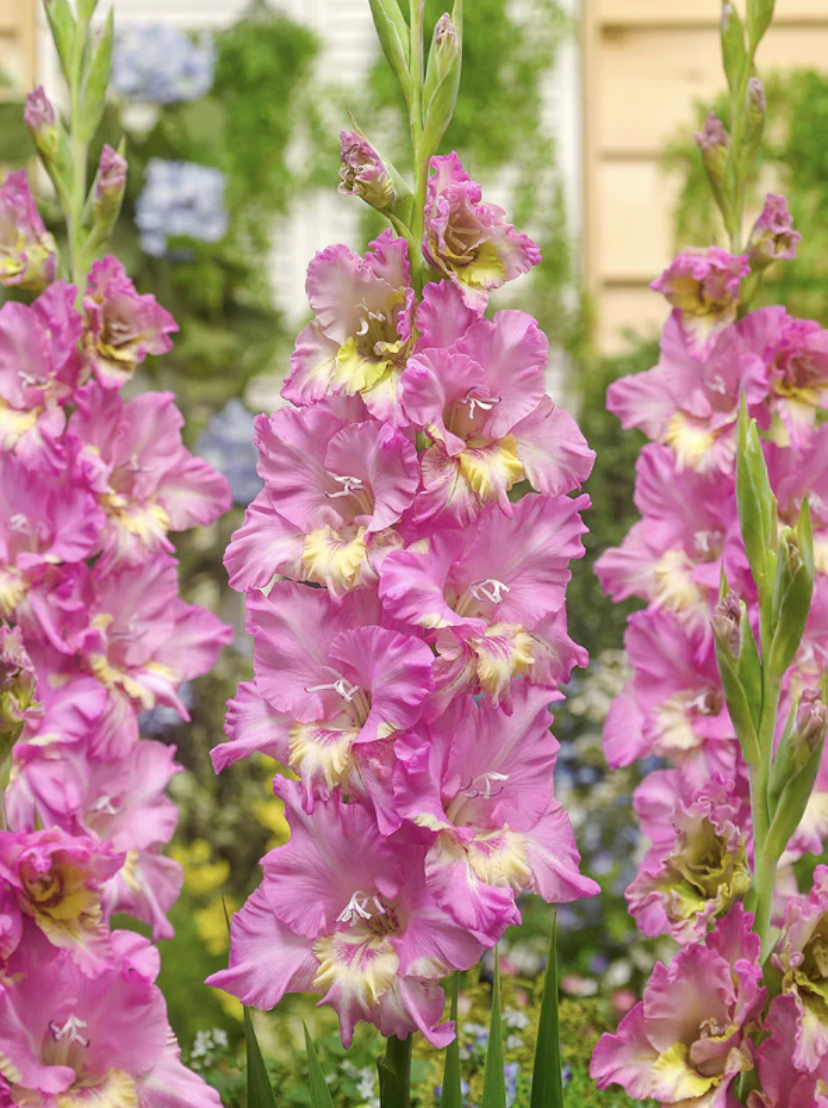 Screenshot 2026-04-20 at 11.56.01 PM.png