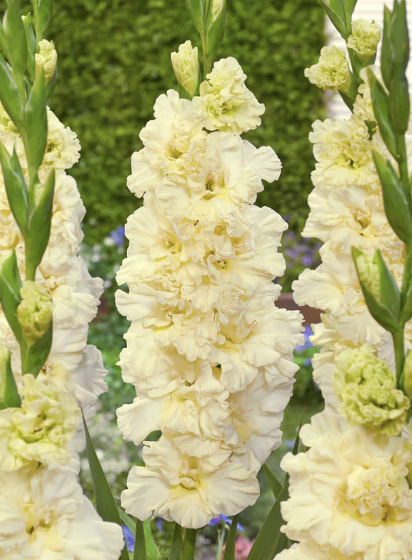 Screenshot 2026-04-20 at 4.15.16 PM.png