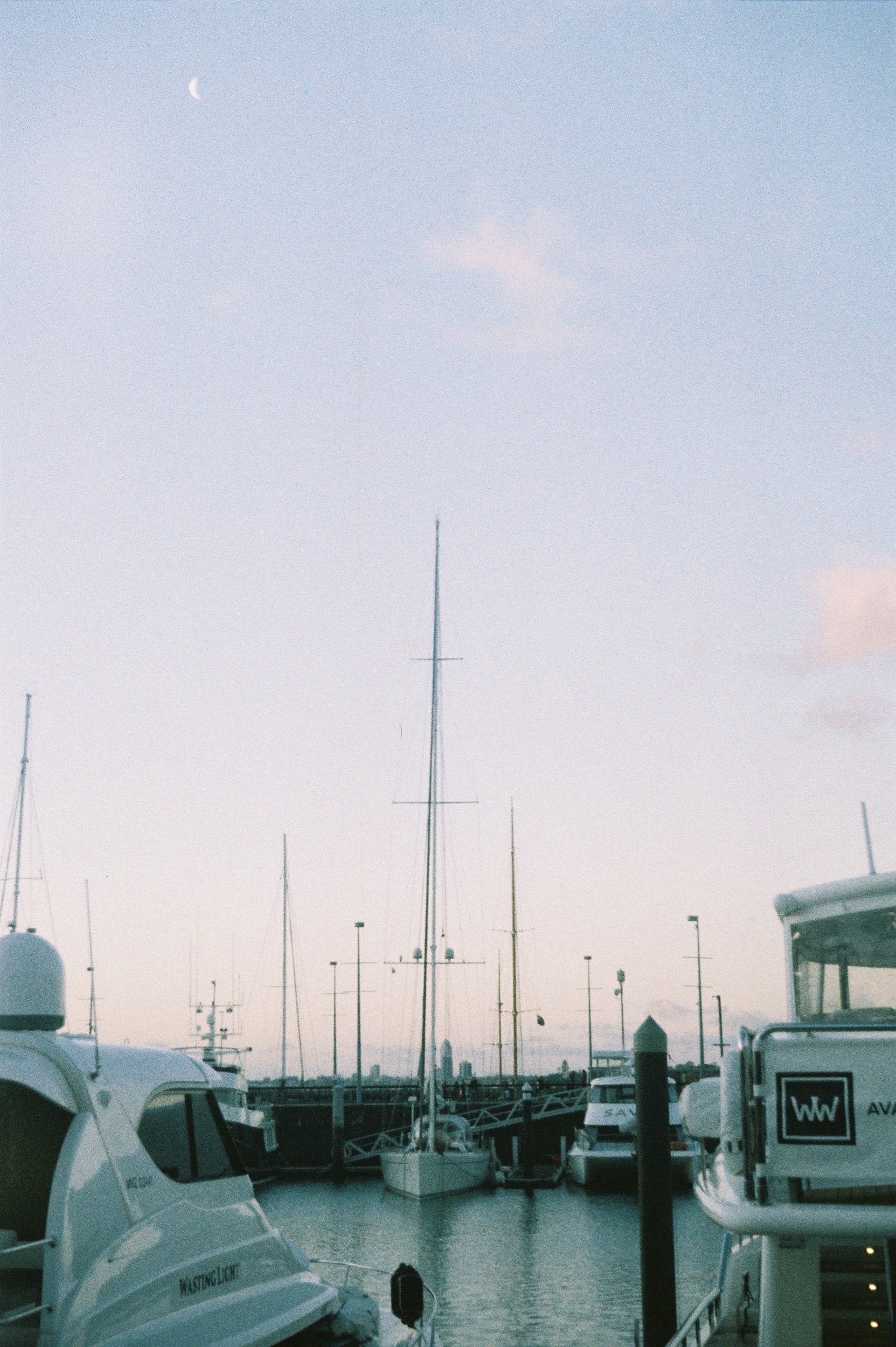 IMG_7906.jpeg