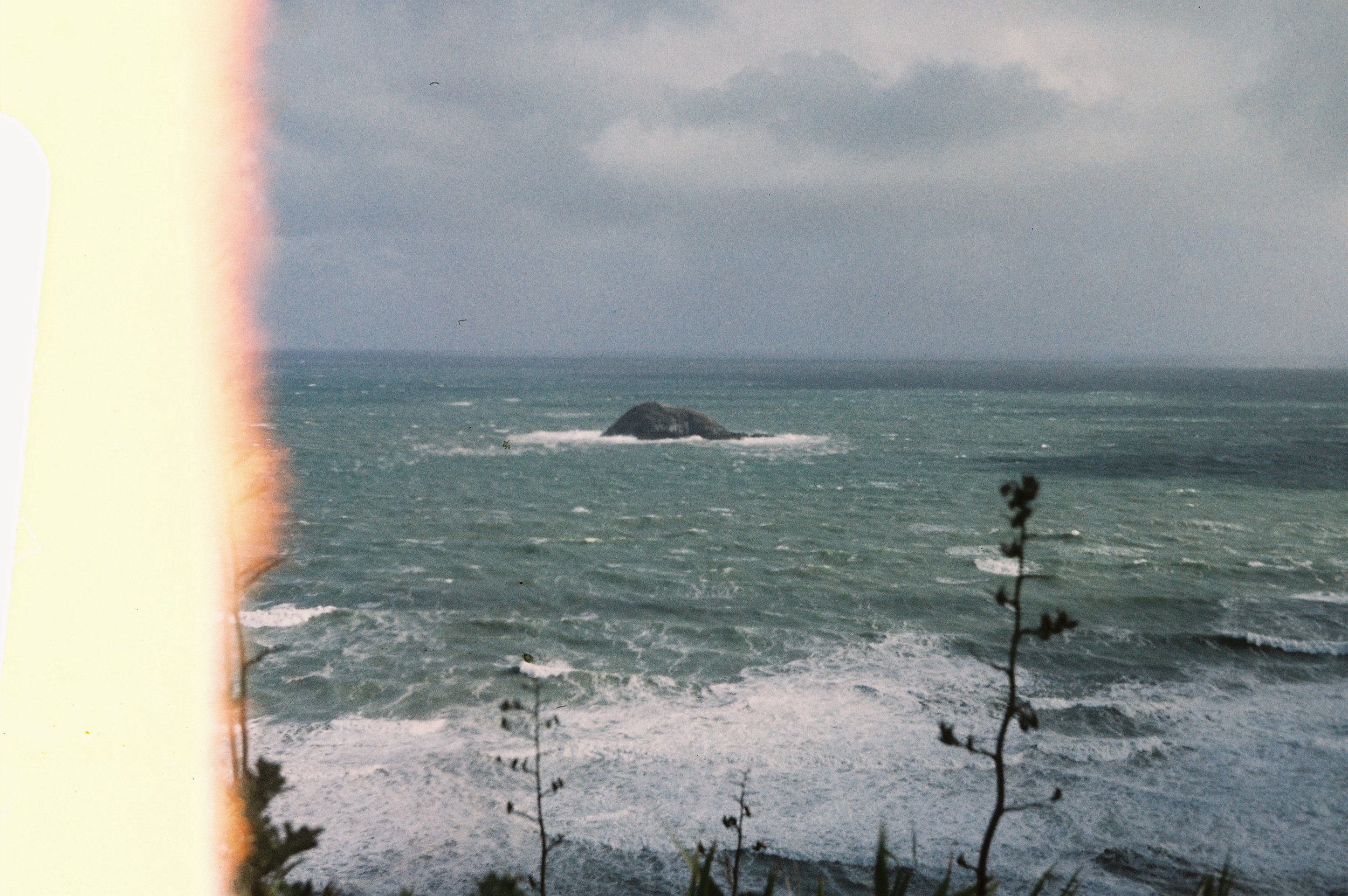 IMG_7920.jpeg