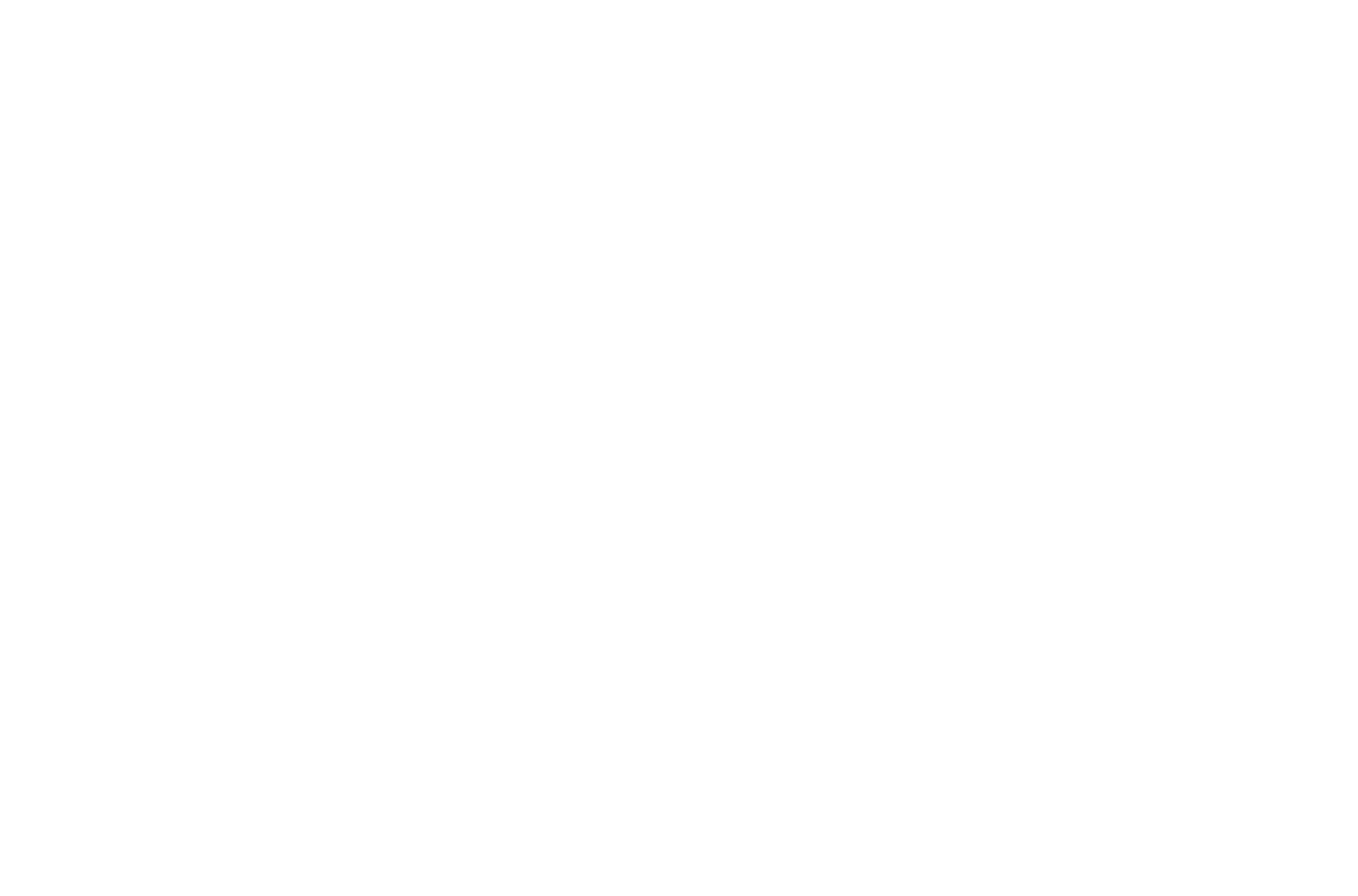 NewVision.png
