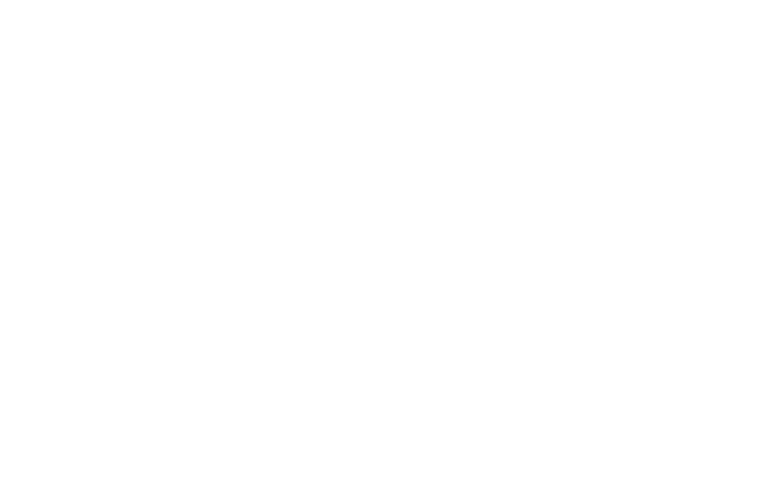 Repurchase.png