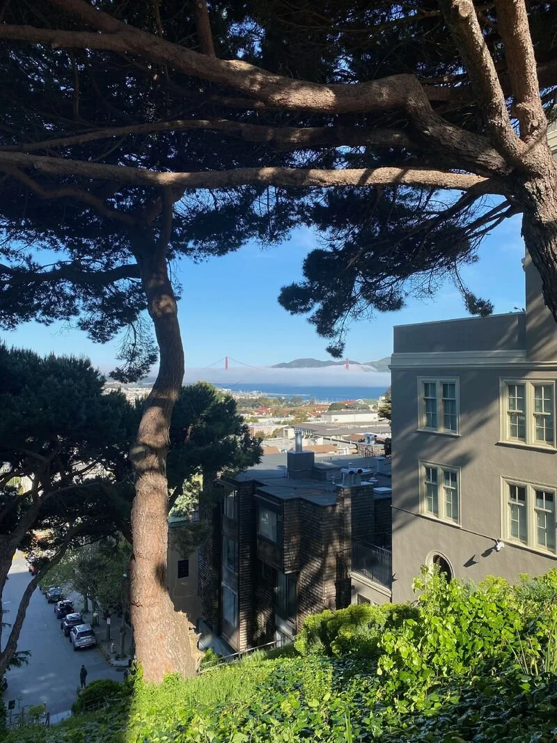 Goodbye, San Francisco