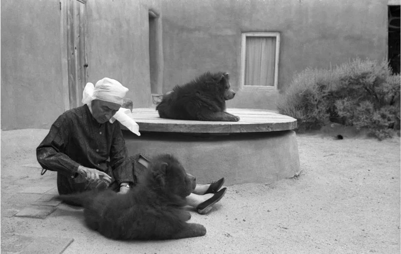 American artist Georgia O’Keeffe sits outside her New Mexico home to brush one of her two pet dogs.