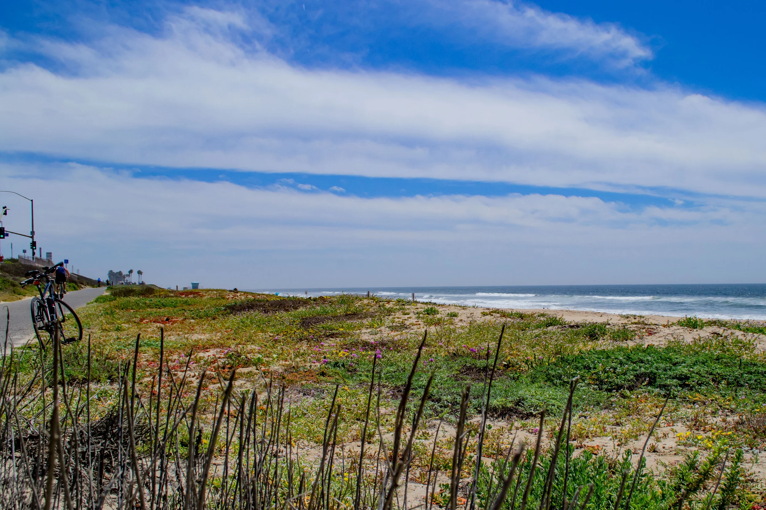 DSC_1272.jpg