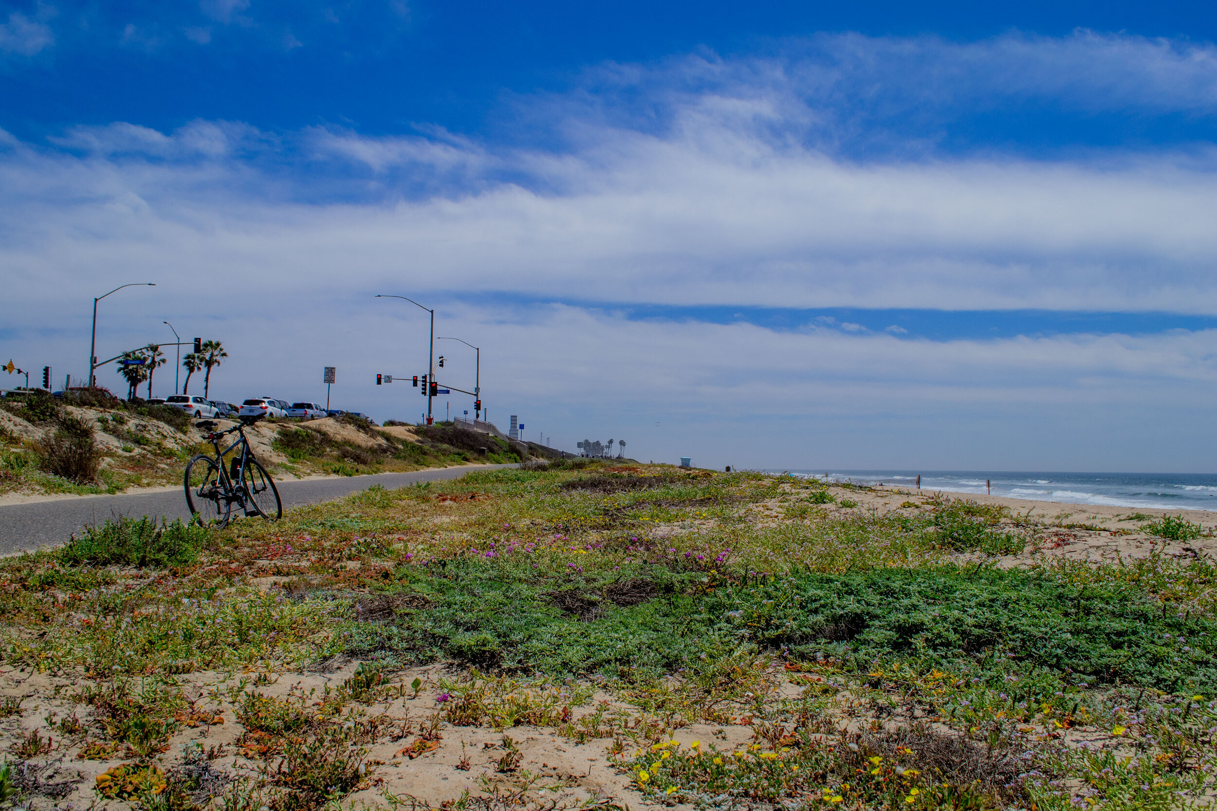 DSC_1267.jpg