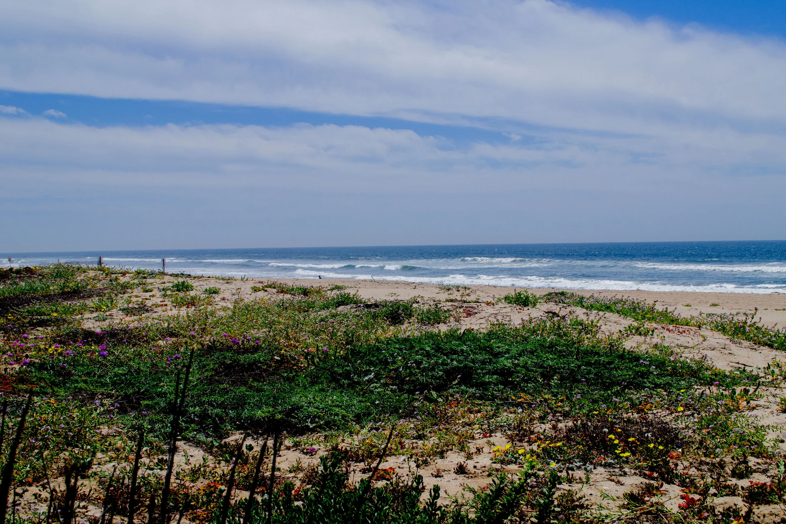 DSC_1271.jpg