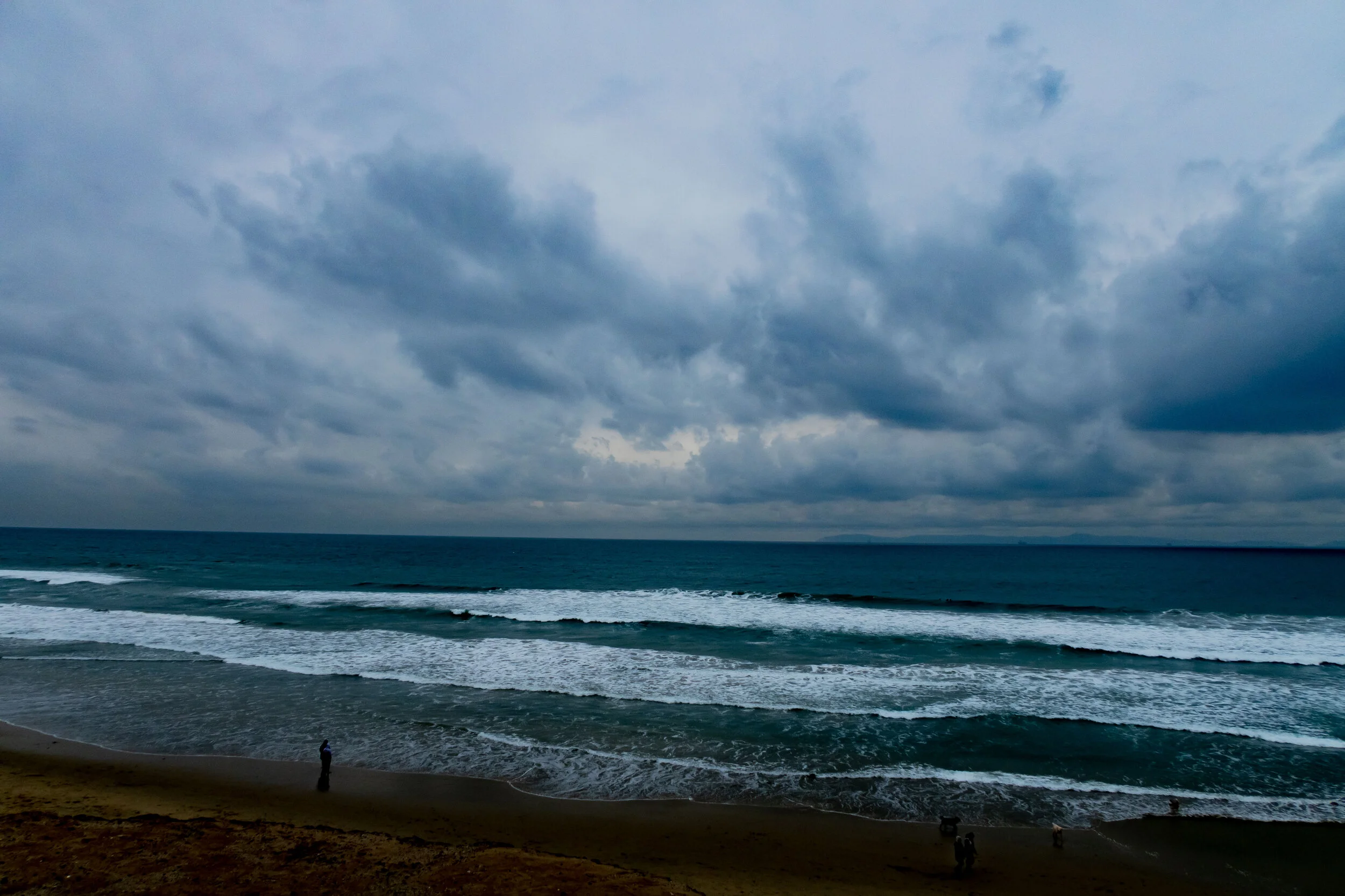 IMG_4455.jpg