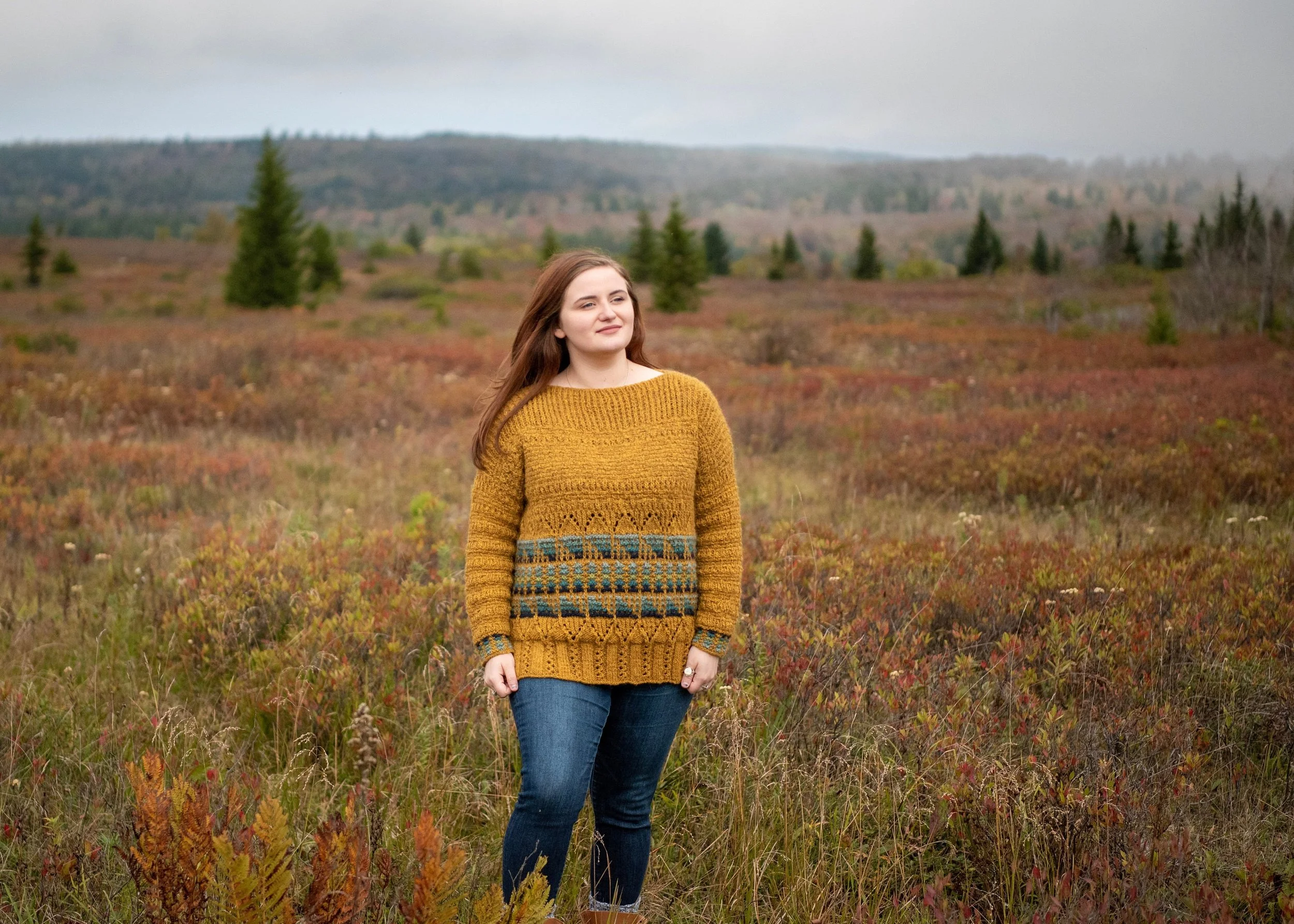 Blue Mountains of the North Sweater  - Mosaic Slip Stitch Knitting
