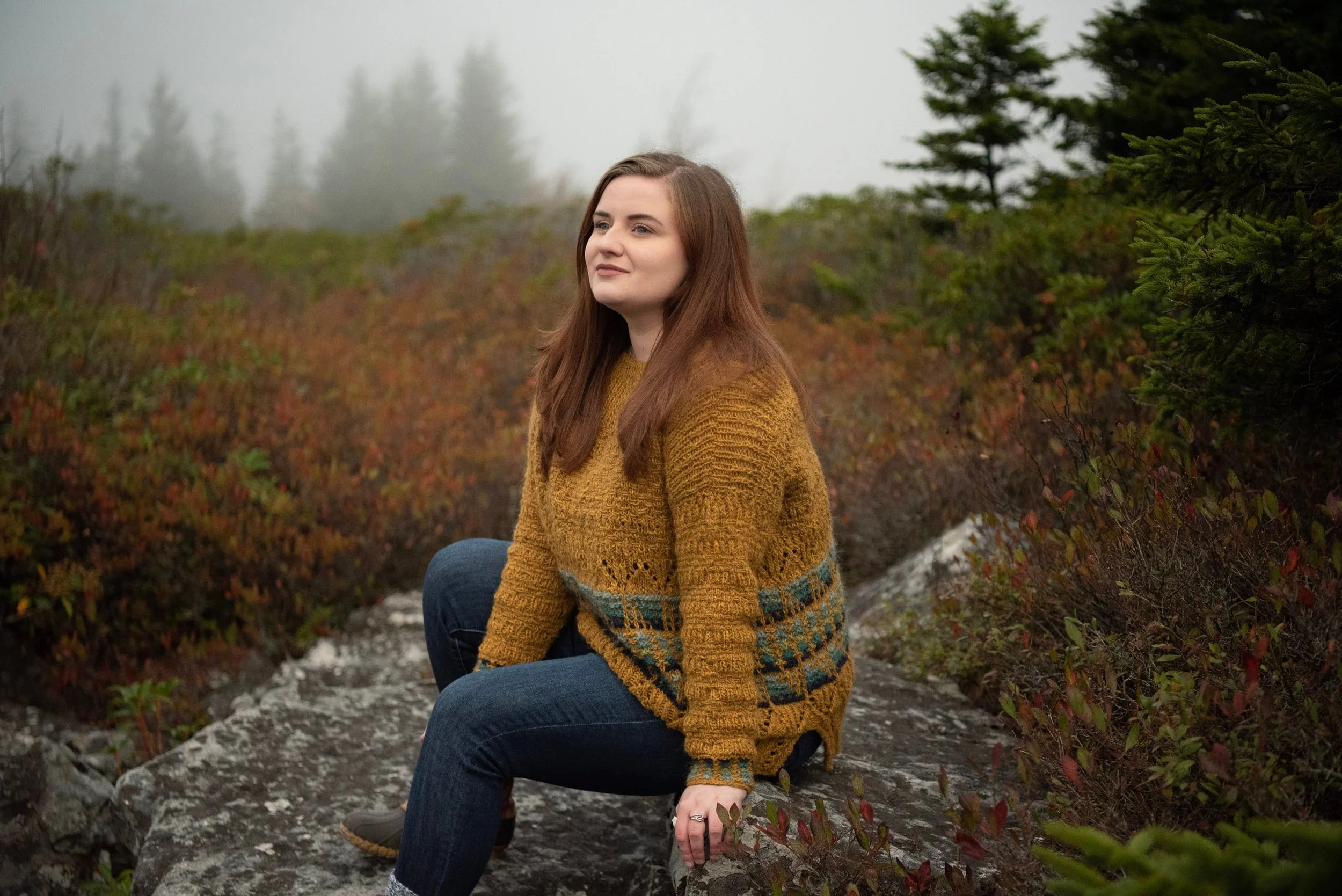 Knitting Pattern: Sweater - Mosaic Knitting