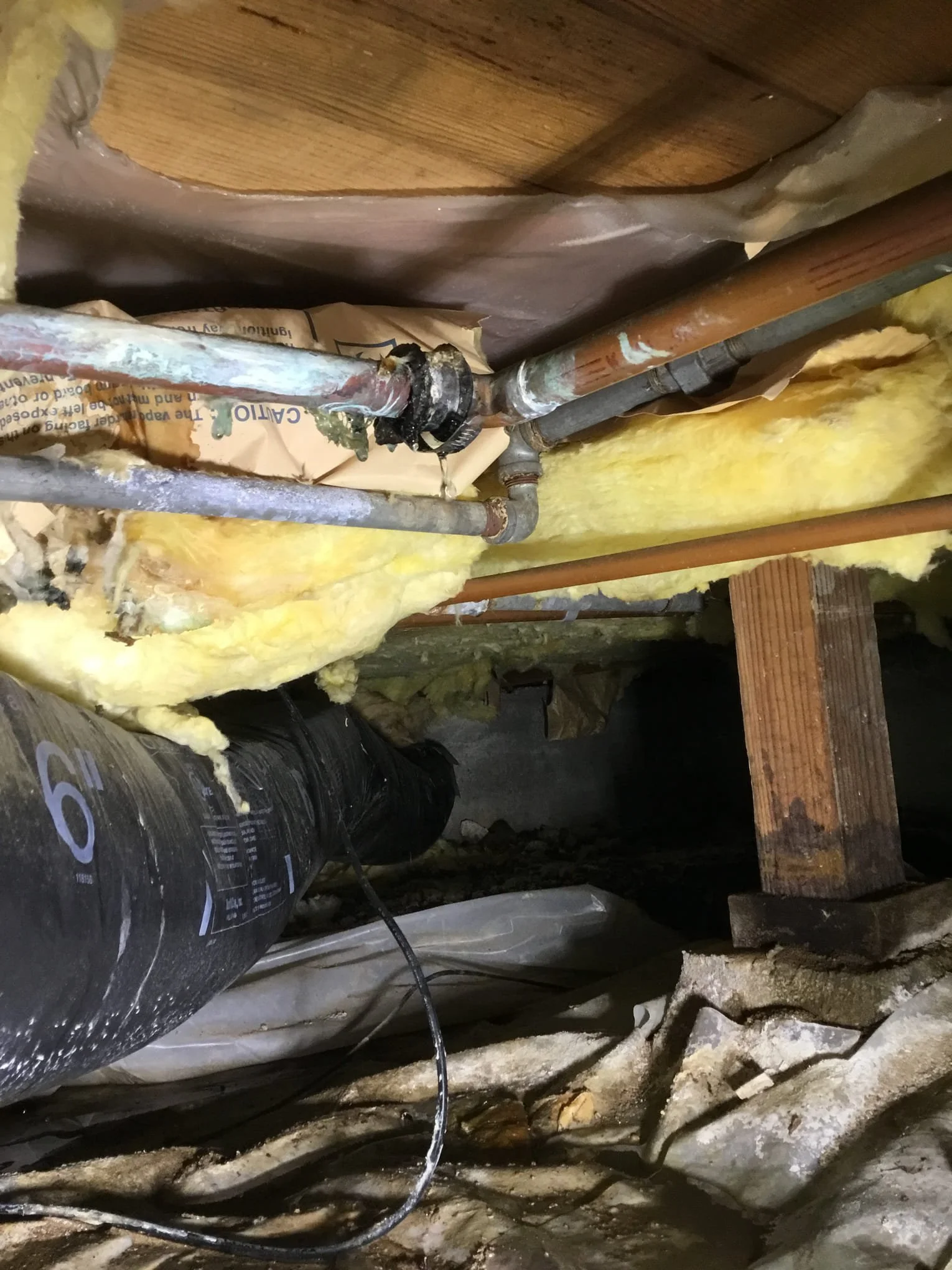 Close-up of exposed plumbing pipes, insulation, and wooden beams in an unfinished basement ceiling