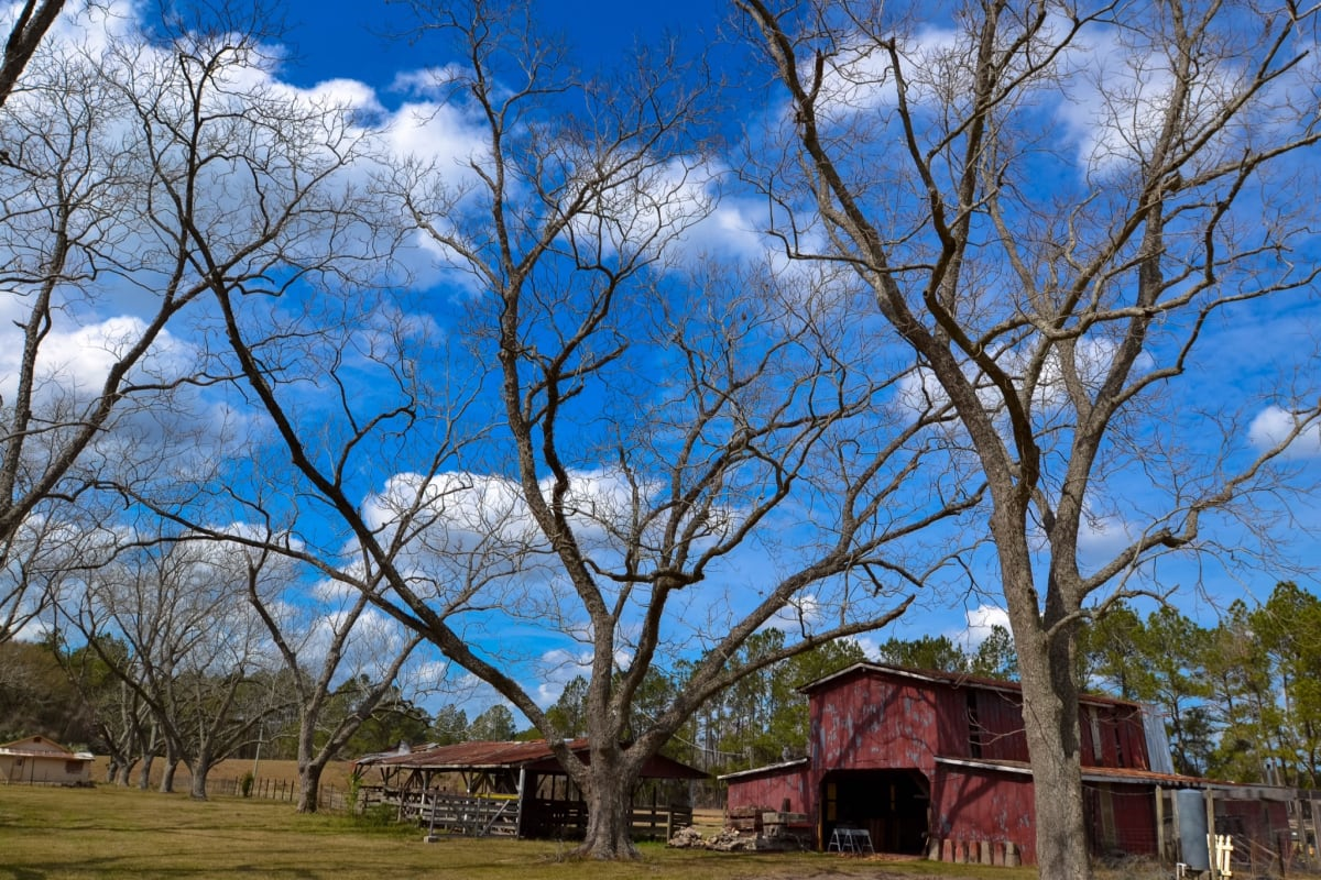 Balance &amp; Brunch in the Barn: A Fall Yoga Retreat