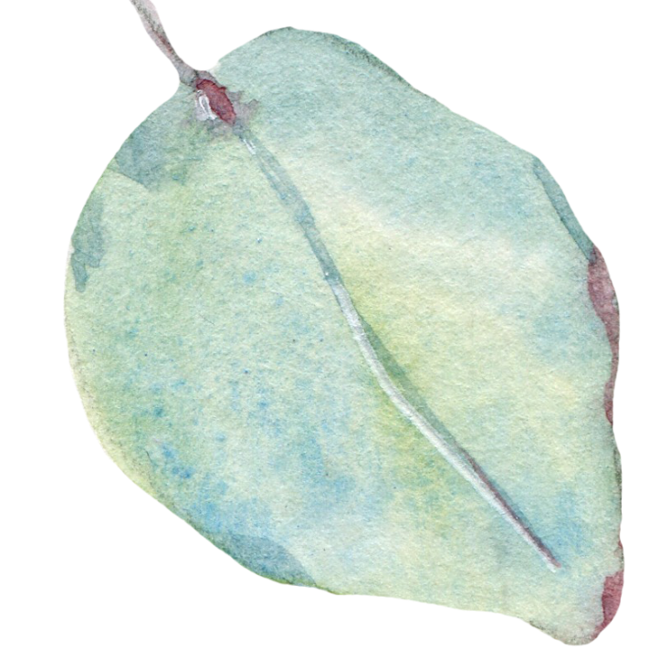 Leaf 1 Resized.png