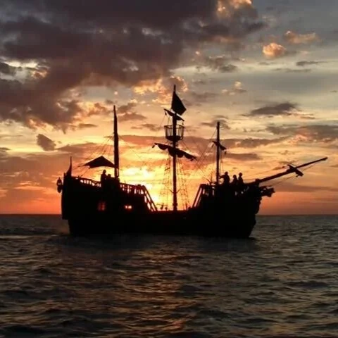 pirate-p.jpg