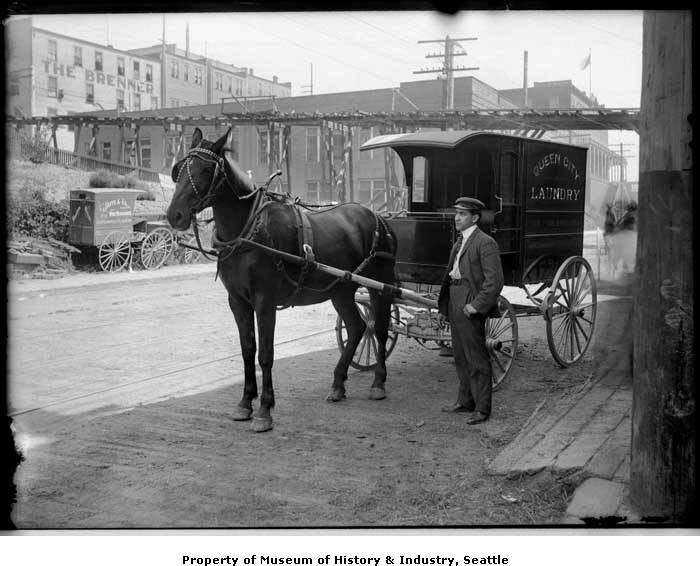 Delivery_wagon_for_Queen_City_Laundry_Seattle_ca_1906.jpg