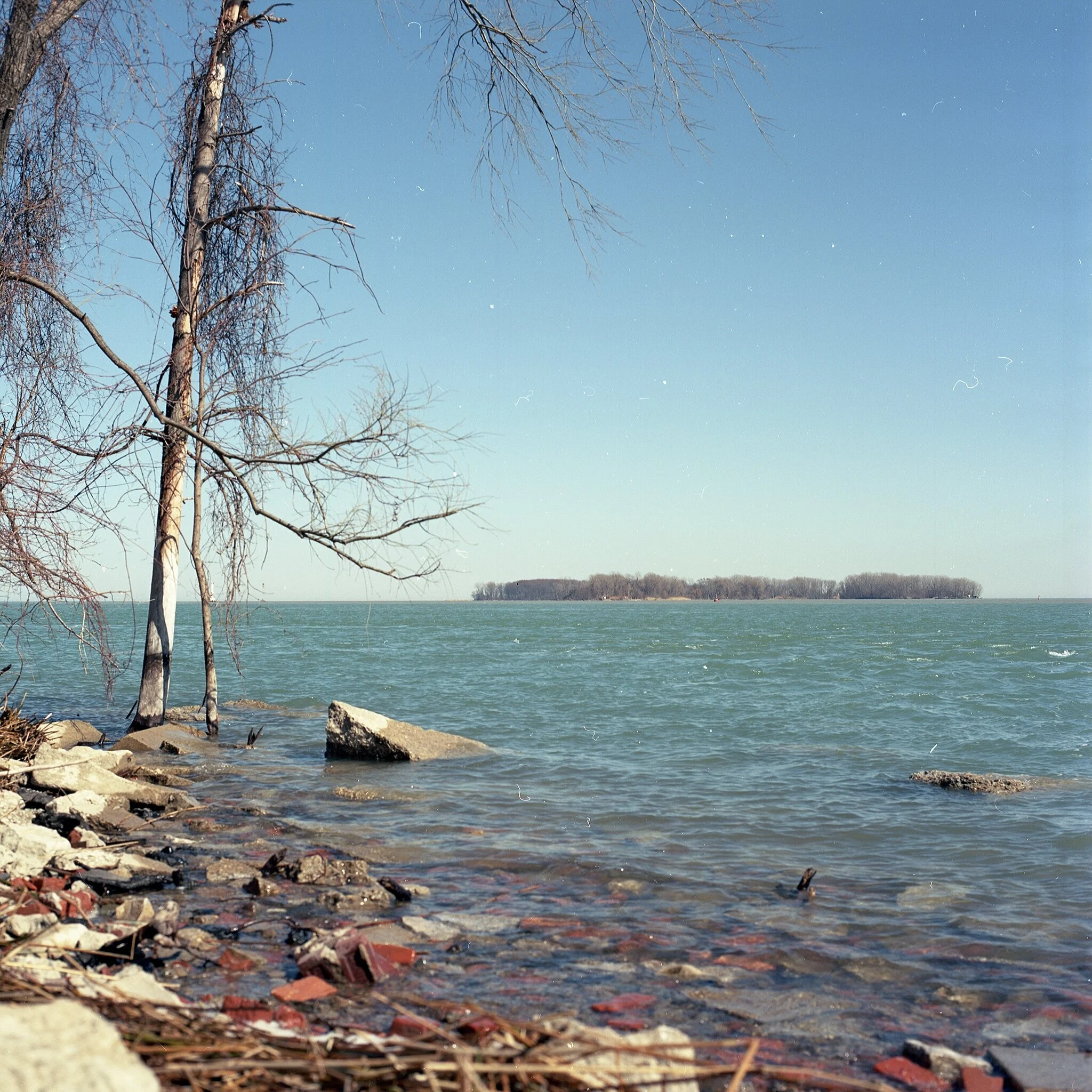 IMG_3787.jpeg