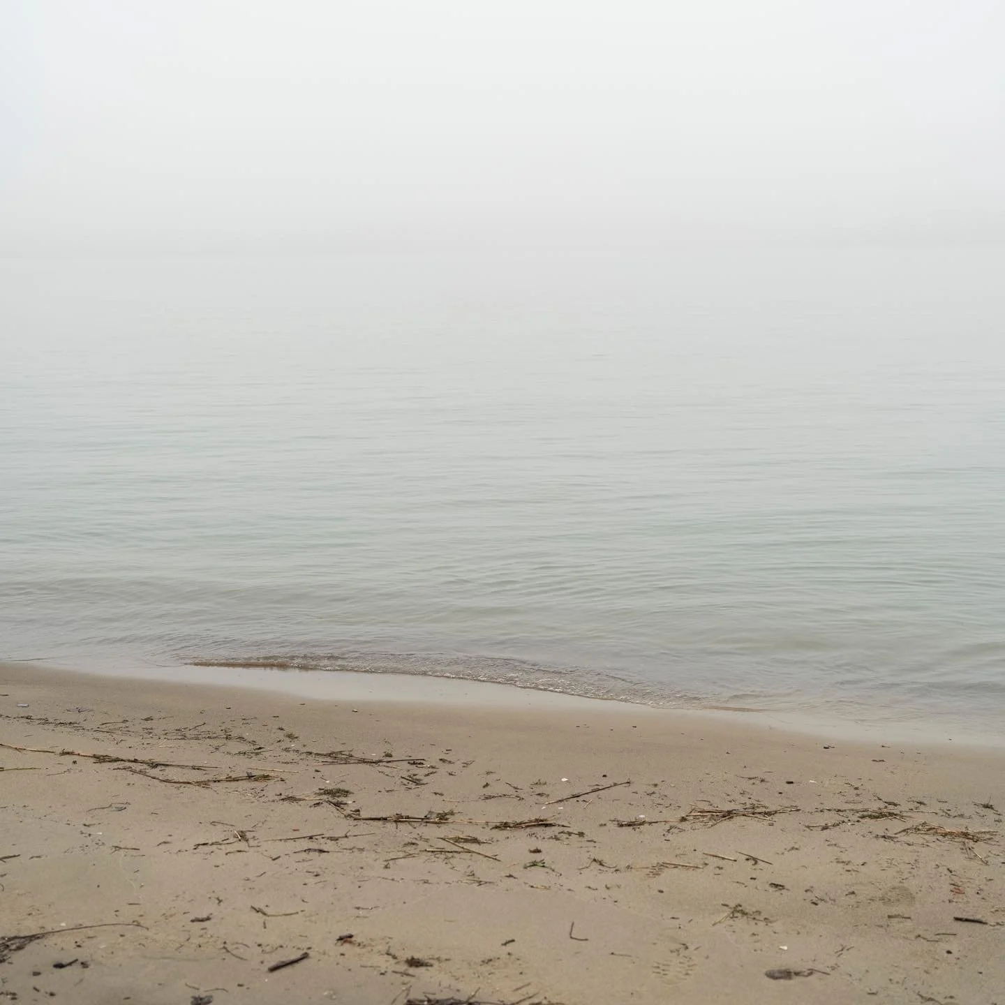 7F6CF525-FA89-41B8-8872-82E7790F2BDD.jpeg