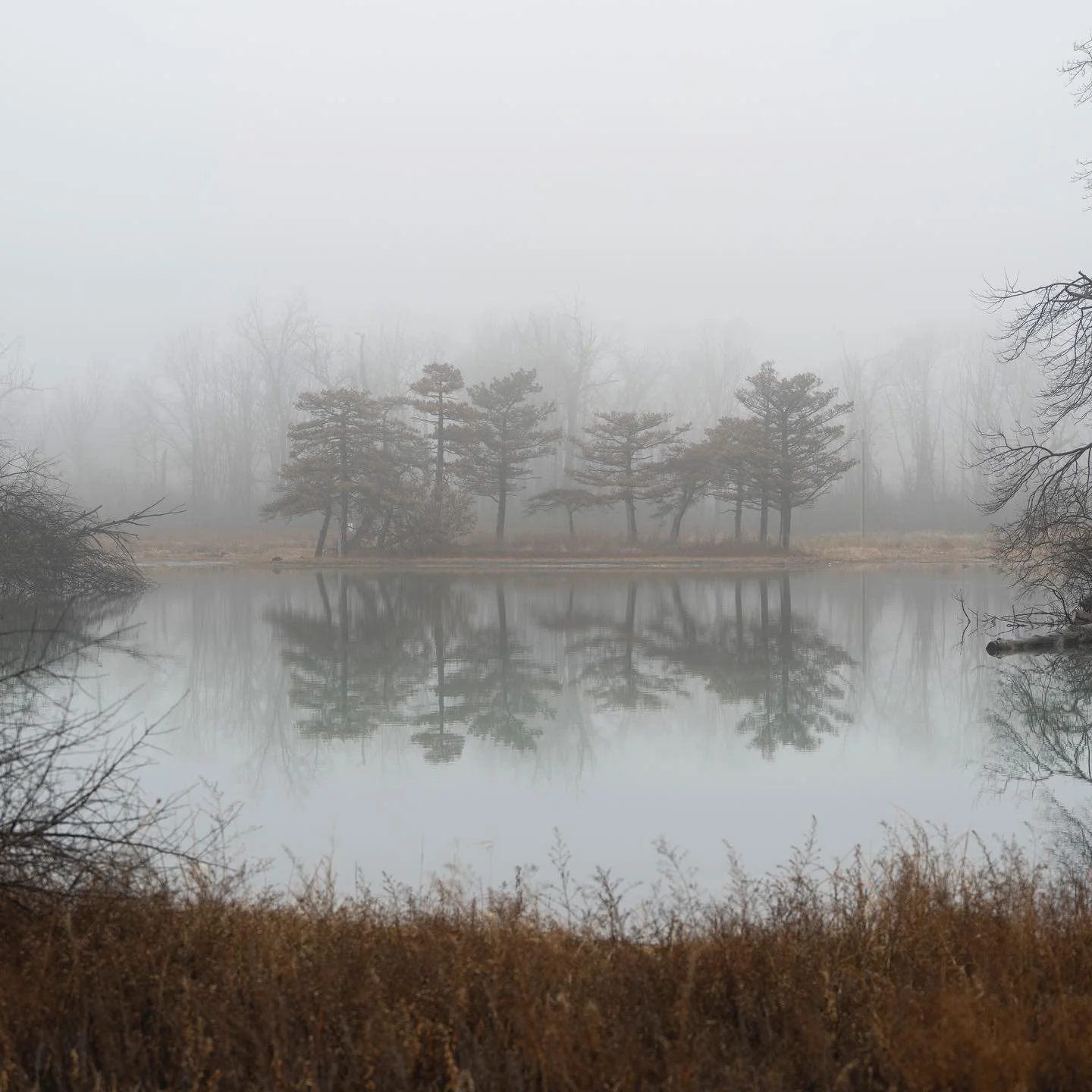ED6DA3F2-44EF-439A-9286-D8A8886B7F57.jpeg